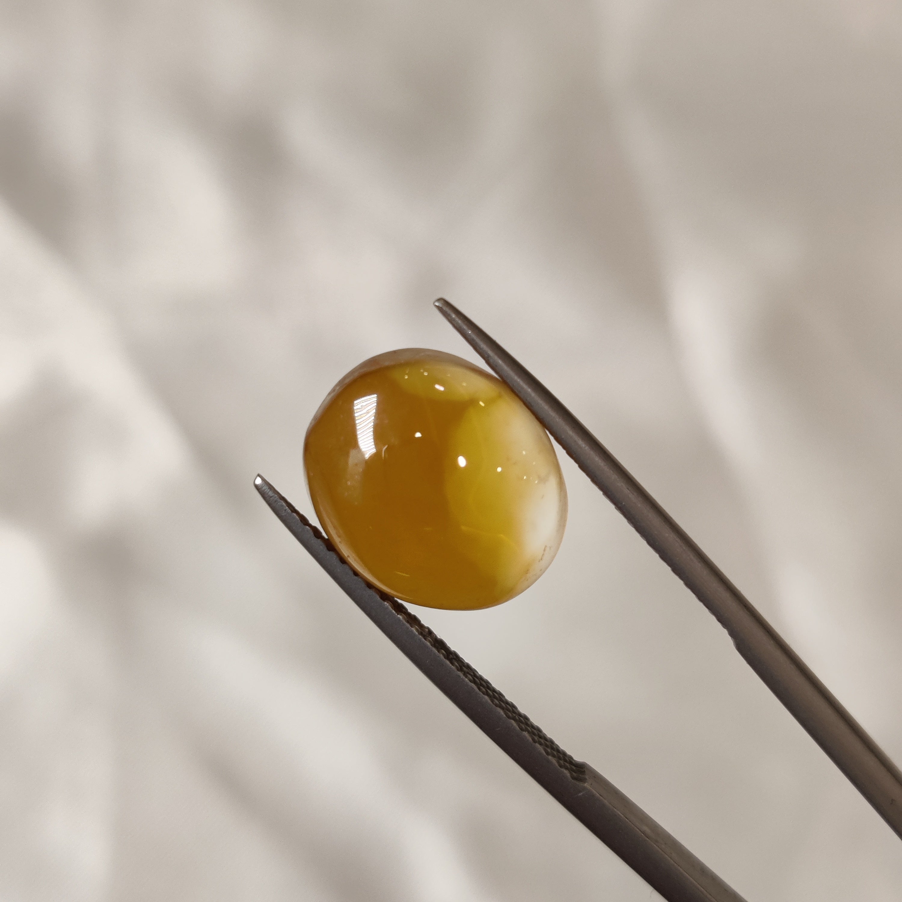 Carnelian | CNL 10 | 6.85 Carat