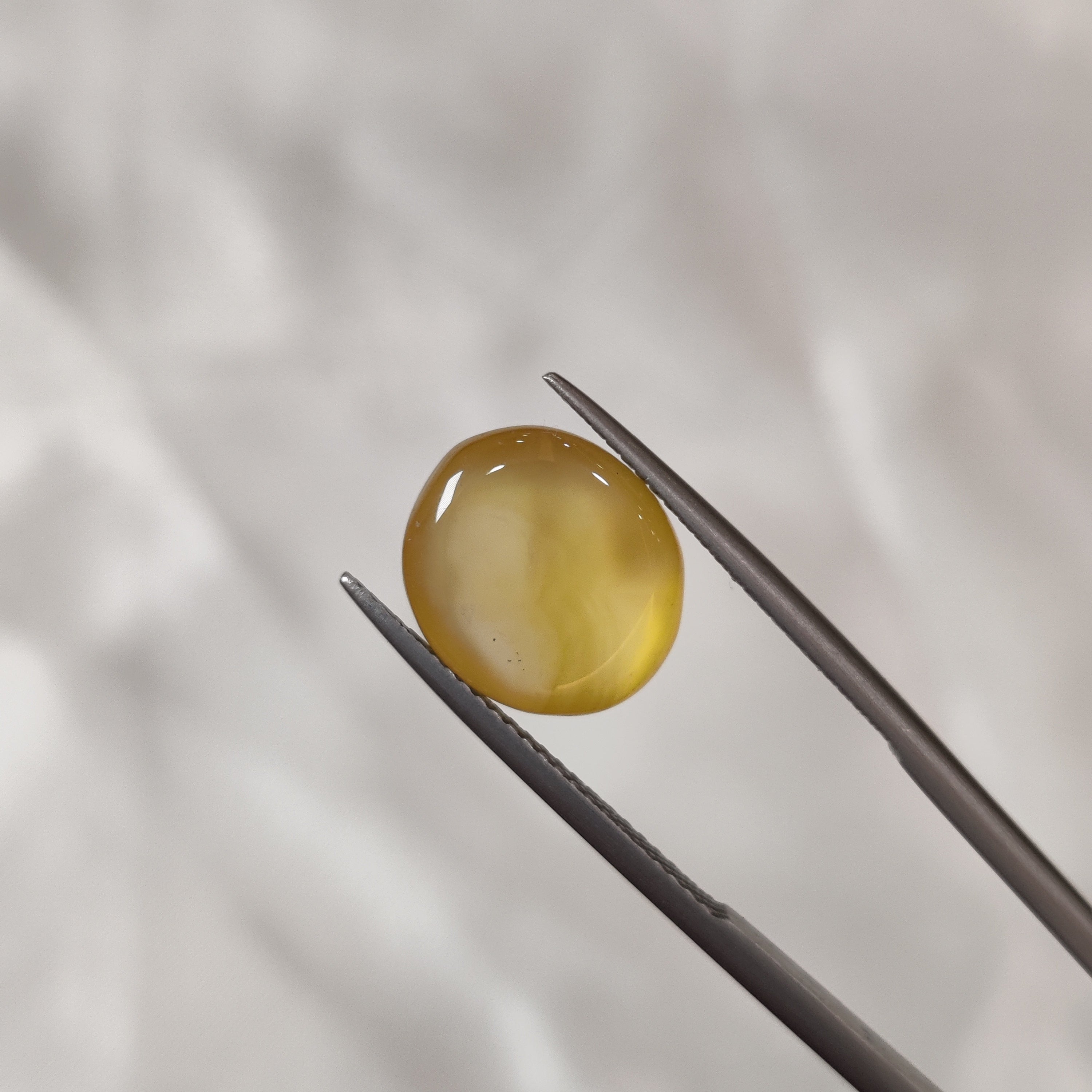 Carnelian | CNL 5 | 6.27 Carat