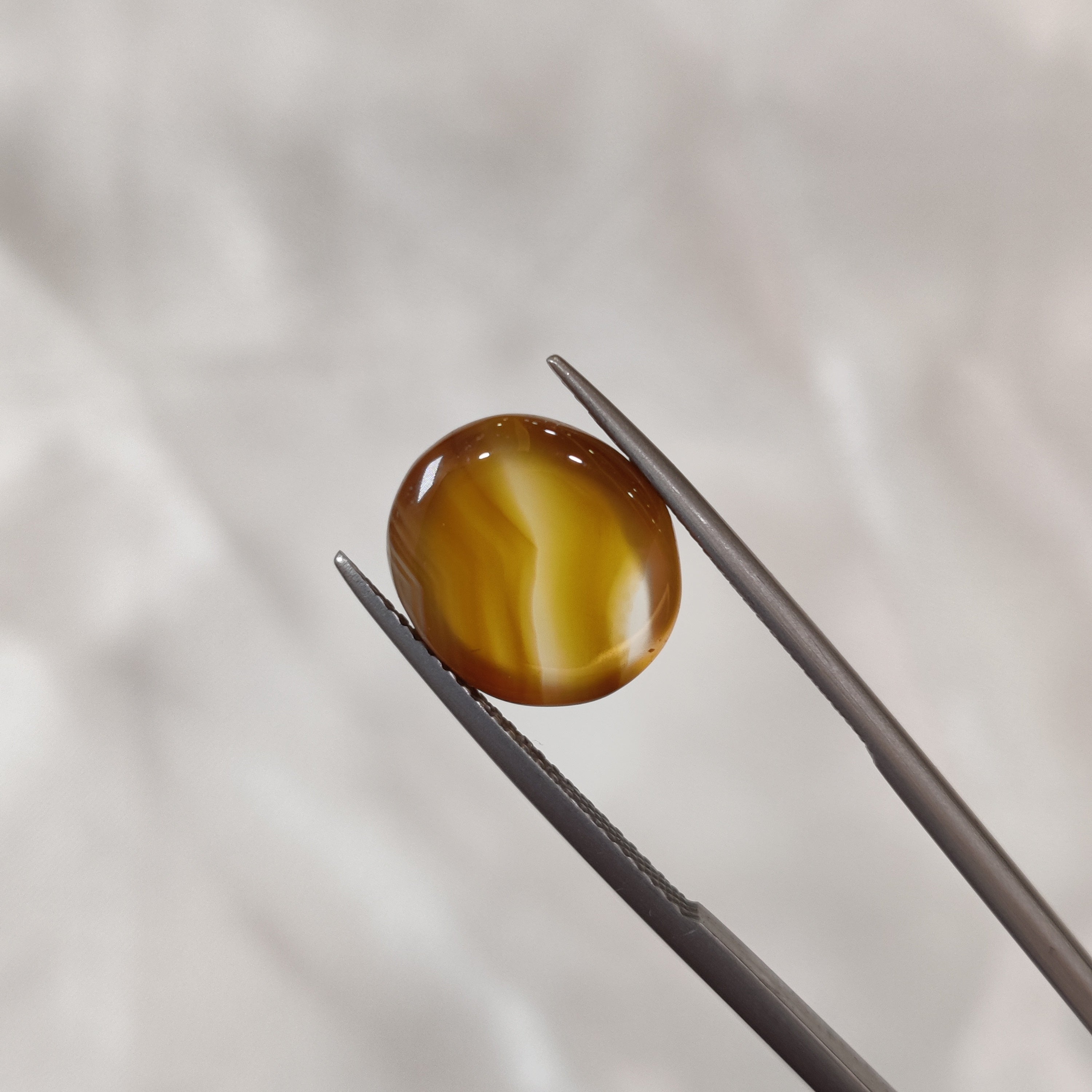 Carnelian | CNL 9 | 6.81 Carat