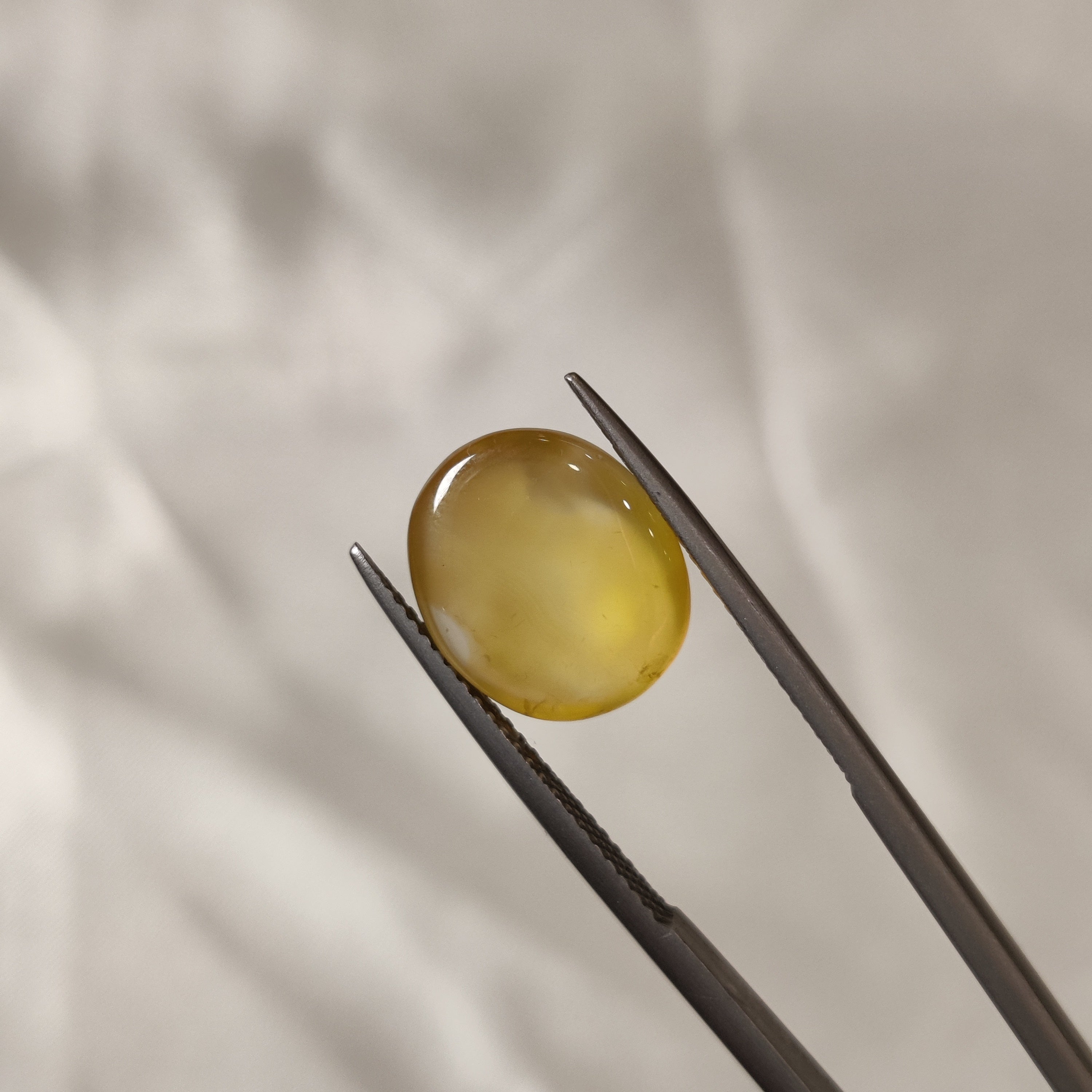 Carnelian | CNL 3 | 6.05 Carat