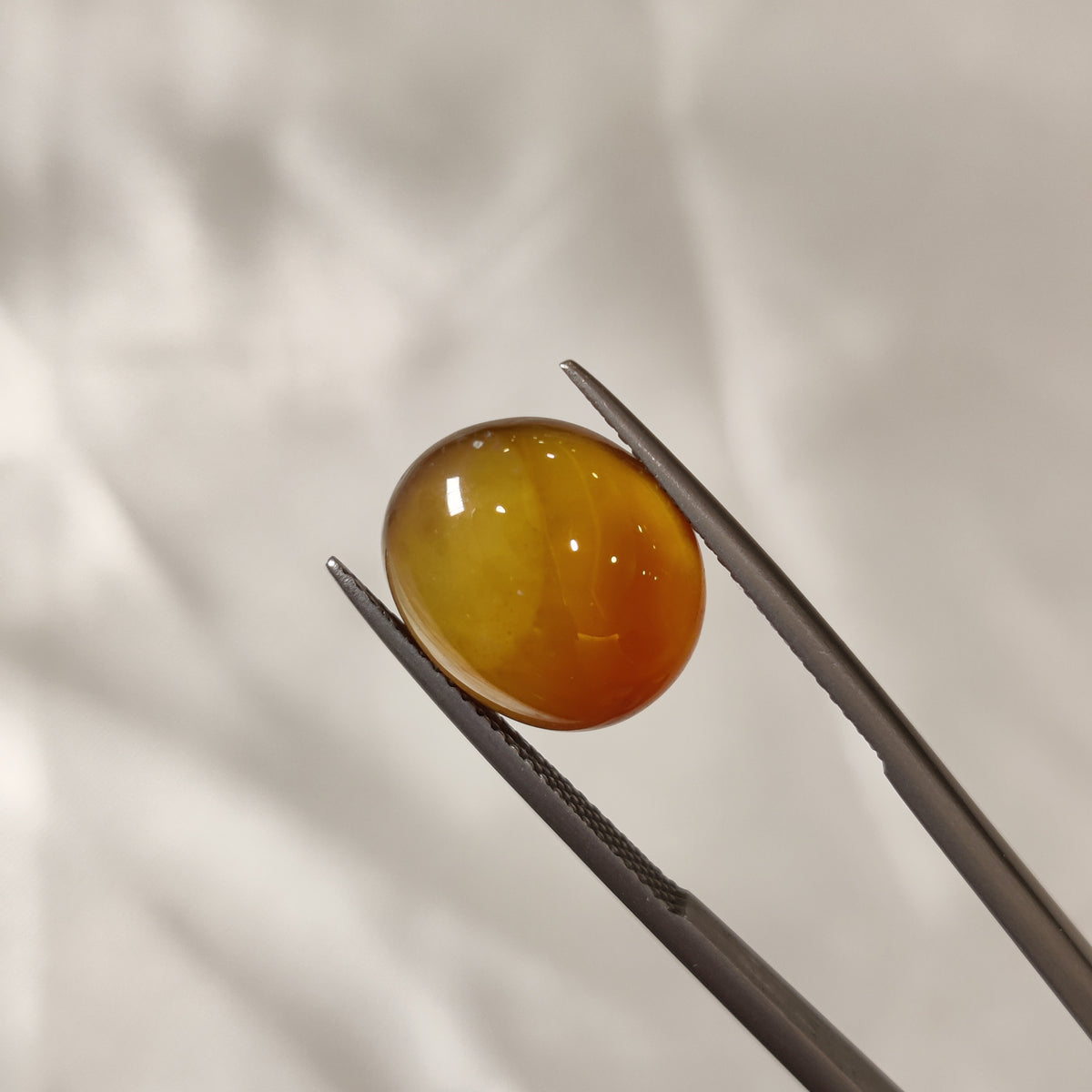 Natural Carnelian | CNL 39 | 9.36 Carat | Certified