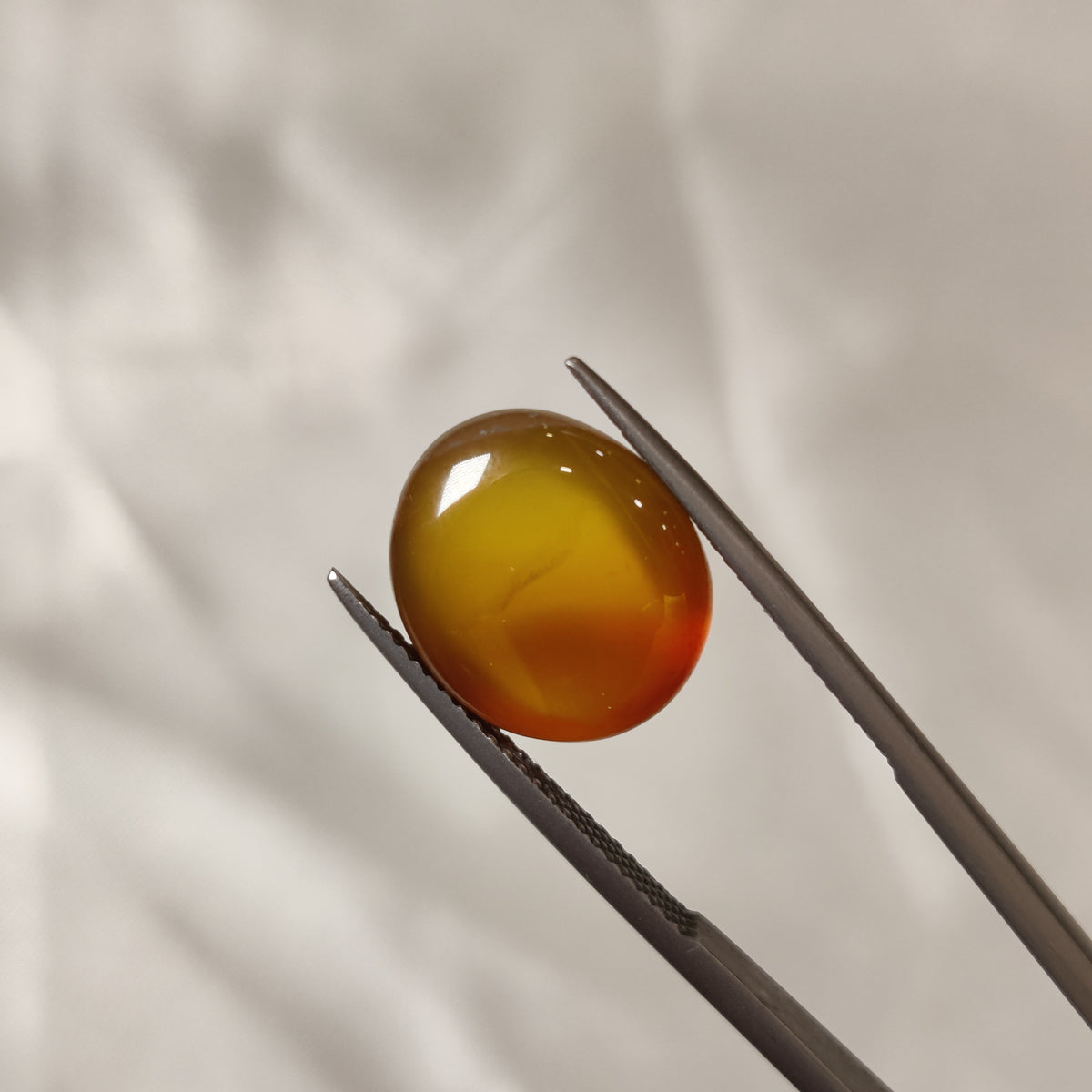 Natural Carnelian | CNL 39 | 9.36 Carat | Certified