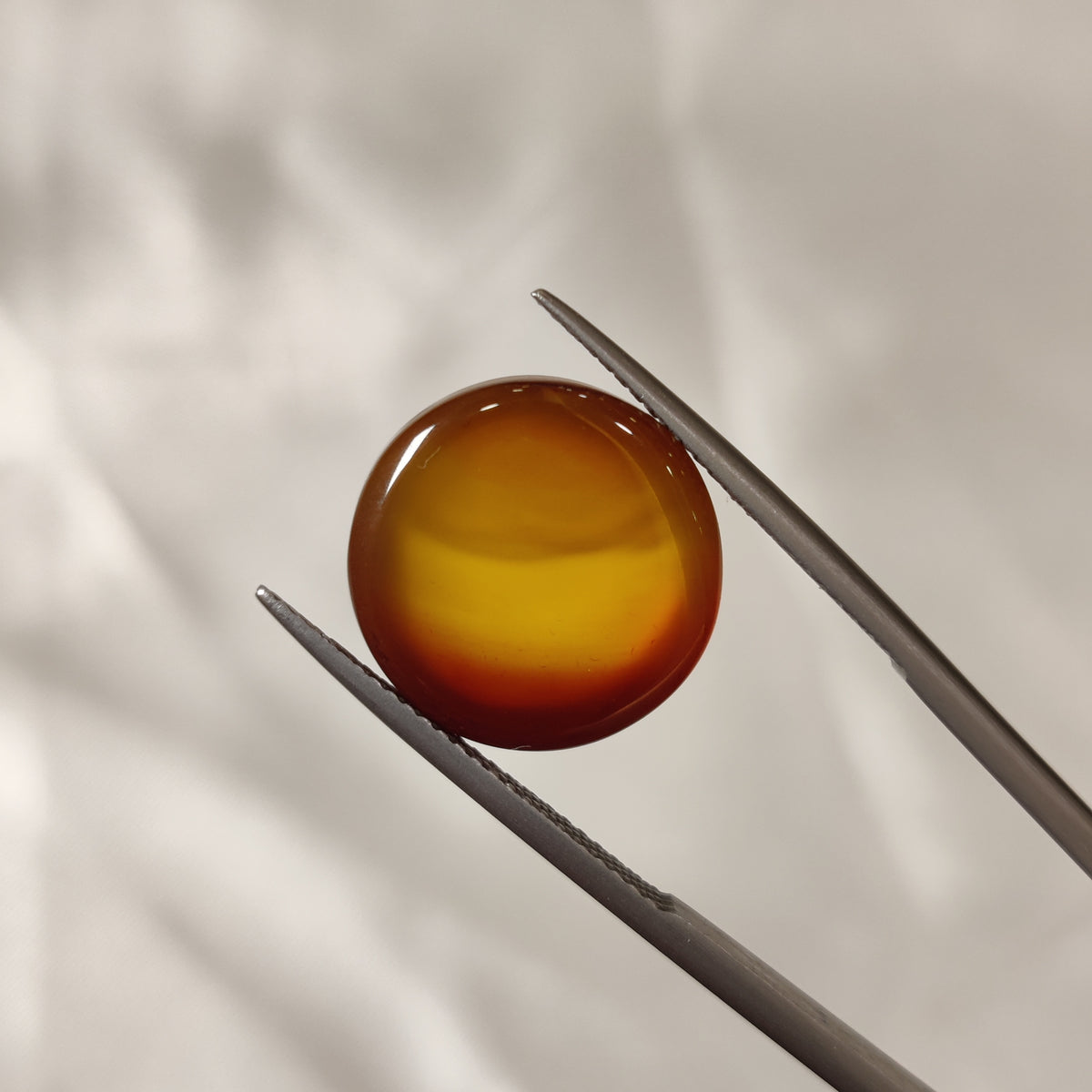Natural Carnelian | CNL 37 | 12.87 Carat | Certified