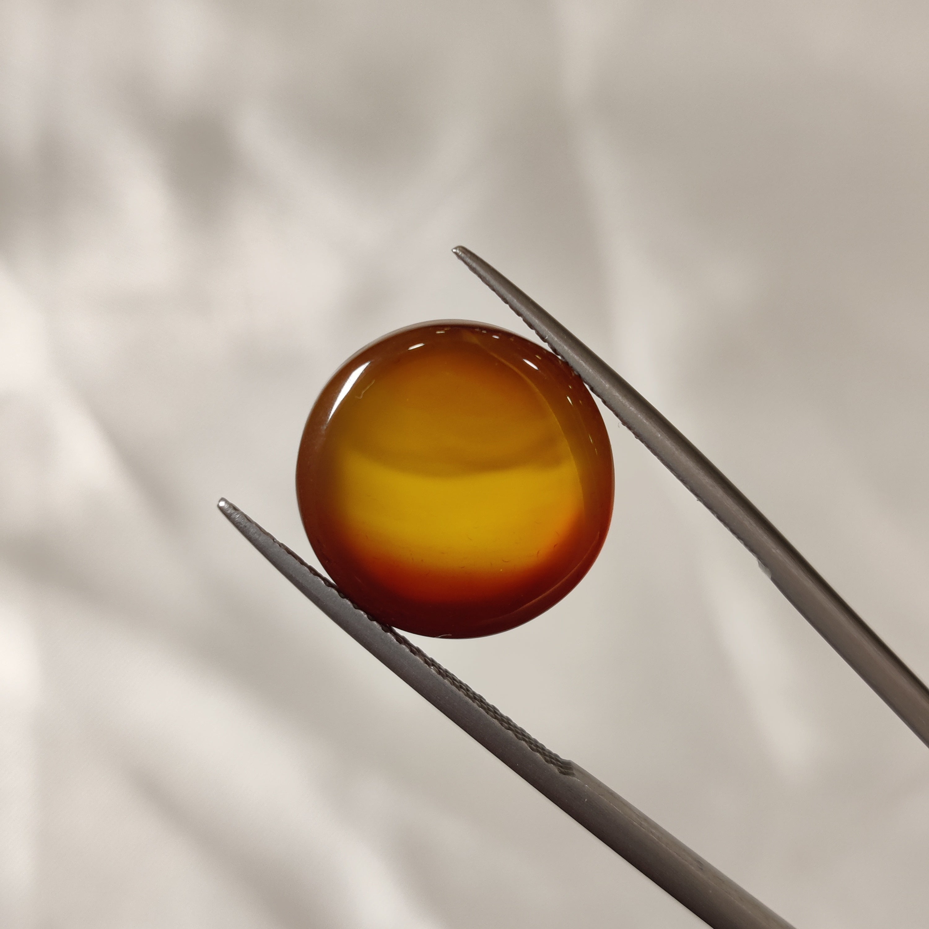 Carnelian | CNL 37 | 12.87 Carat