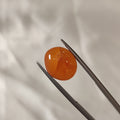 Carnelian | CNL 7 | 6.6 Carat