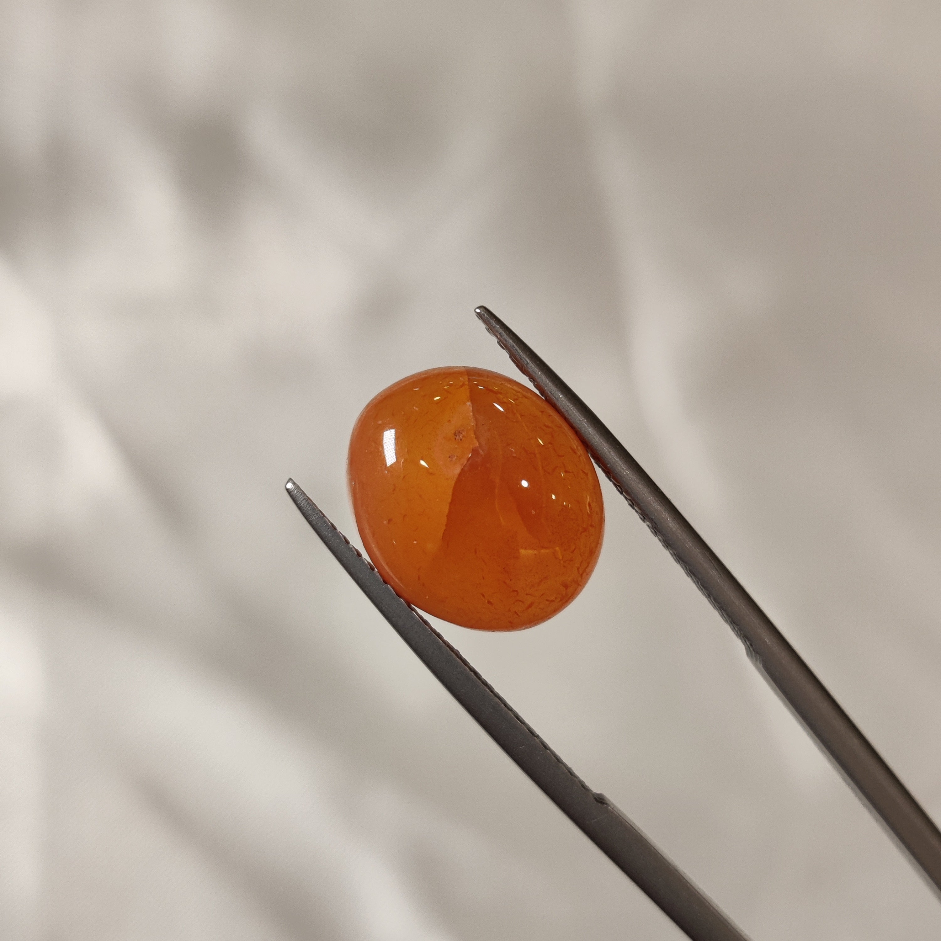 Carnelian | CNL 7 | 6.6 Carat