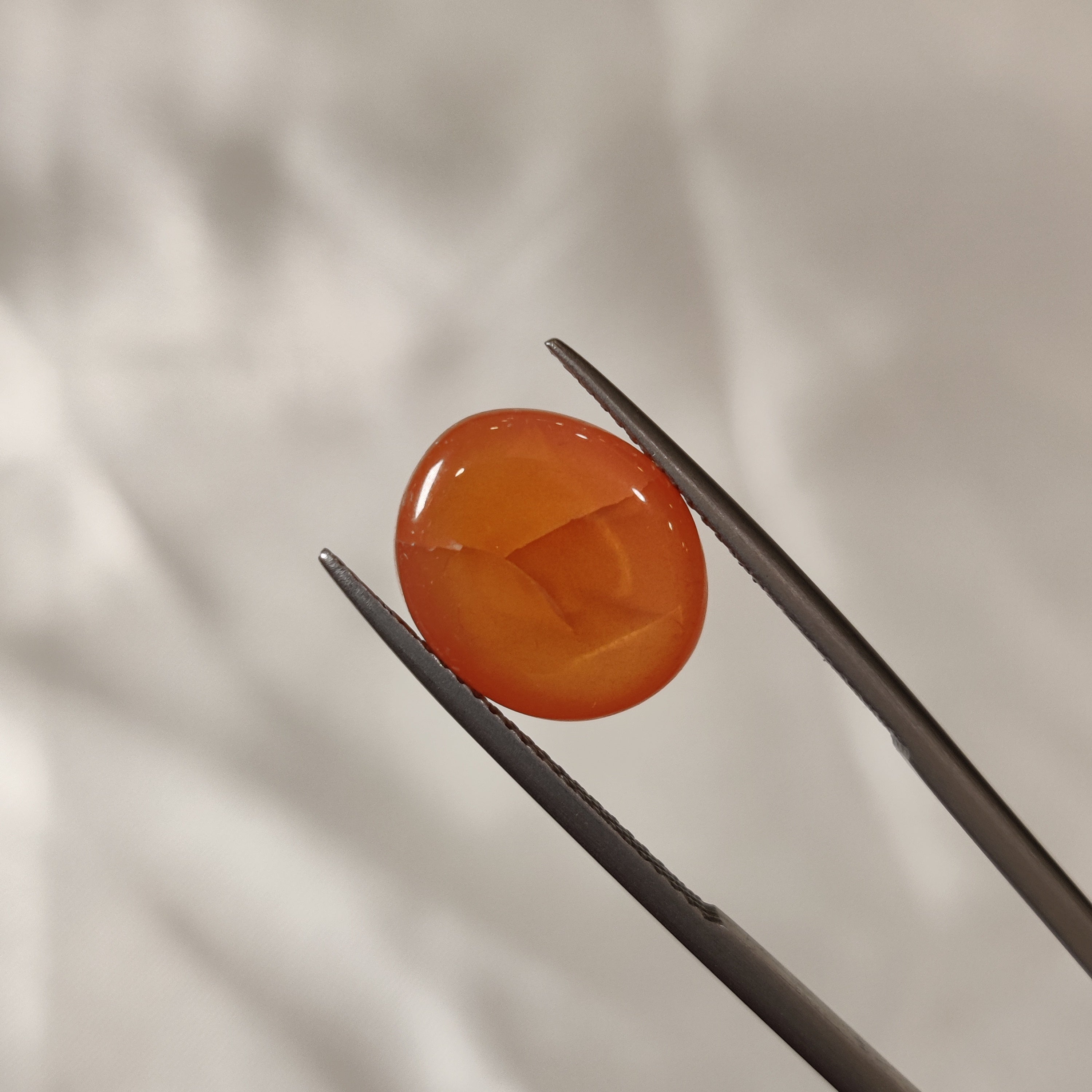 Carnelian | CNL 7 | 6.6 Carat