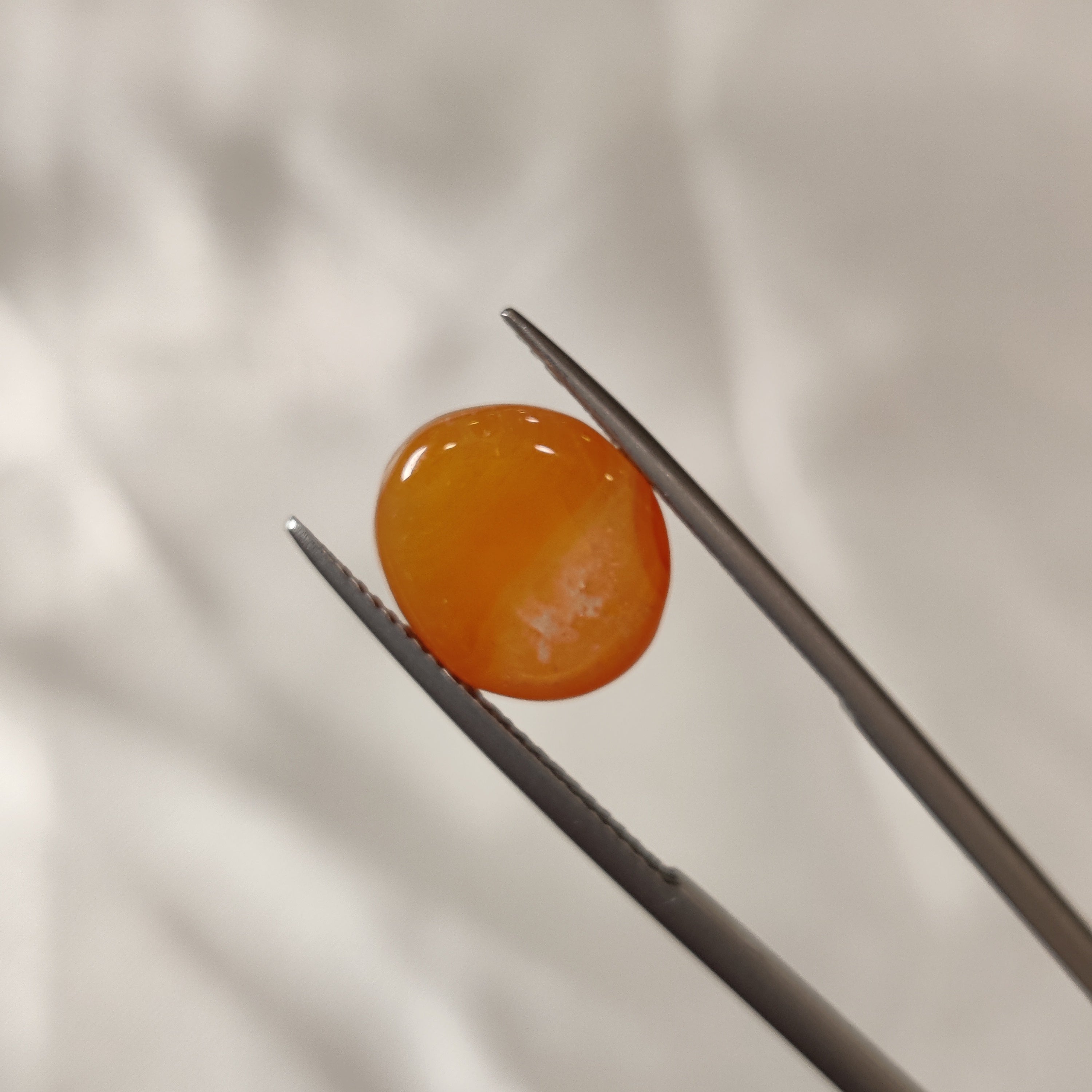 Carnelian | CNL 4 | 6.26 Carat