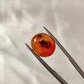 Carnelian | CNL 6 | 6.58 Carat