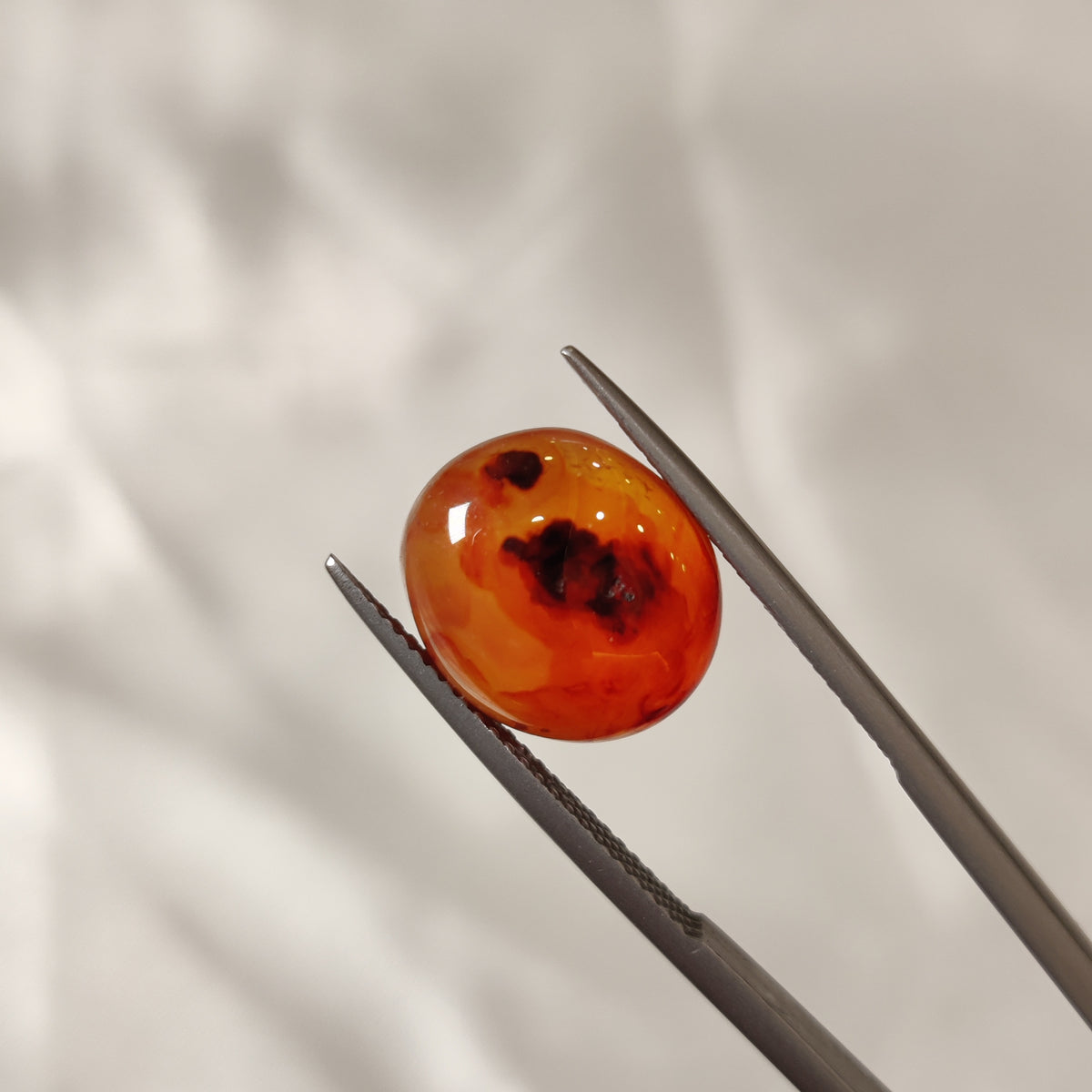 Natural Carnelian | CNL 6 | 6.58 Carat | Certified