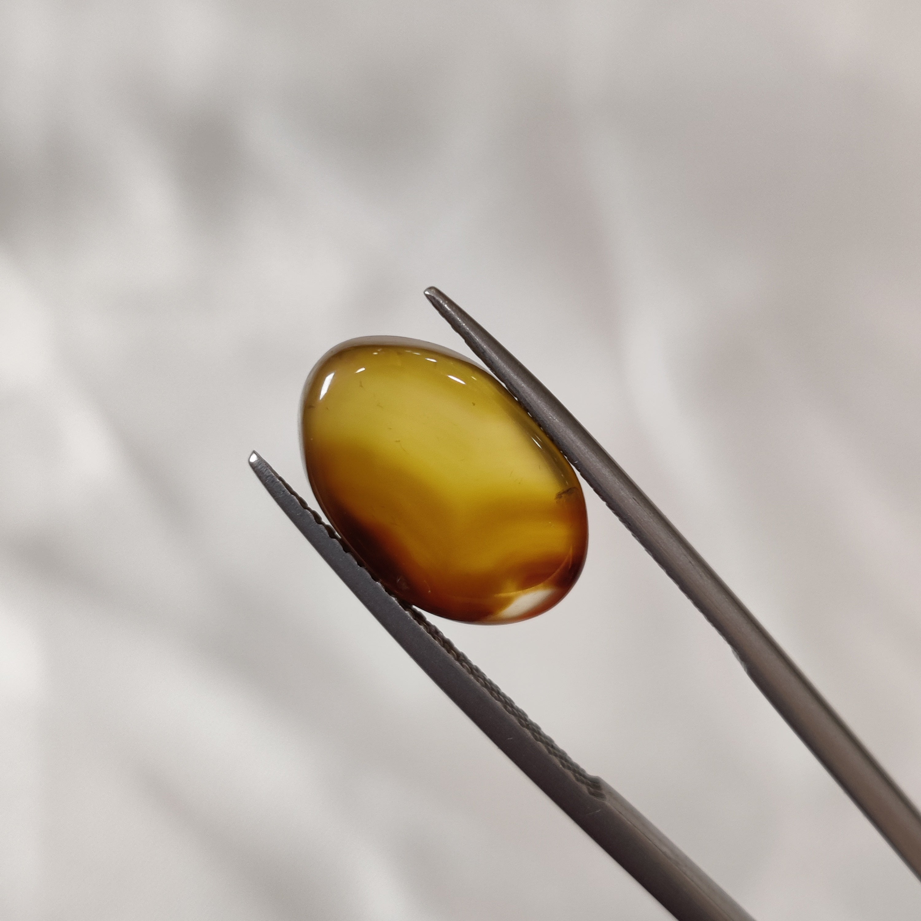 Carnelian | CNL 8 | 6.61 Carat