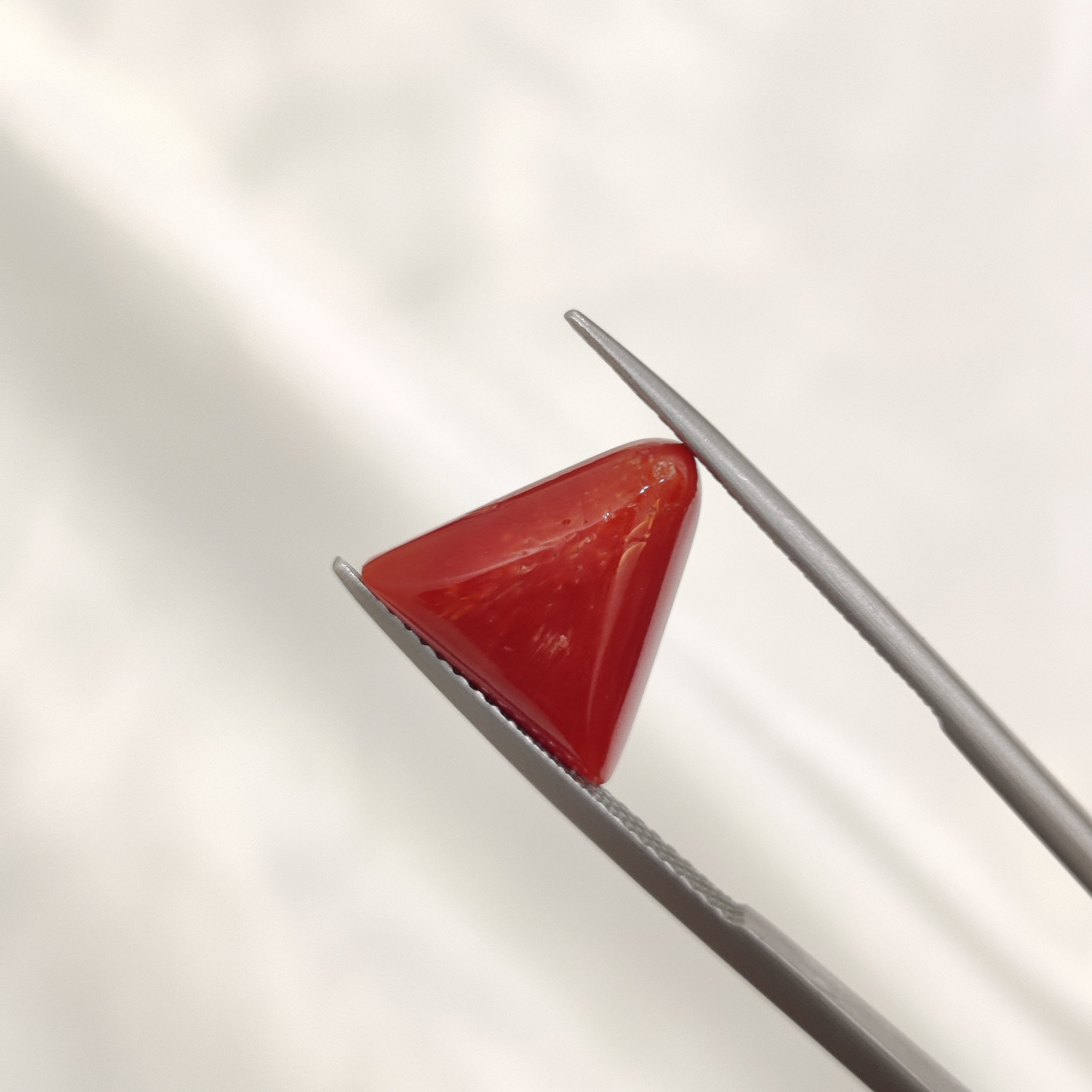 Coral | CORAL 146 | 6.64 Carat