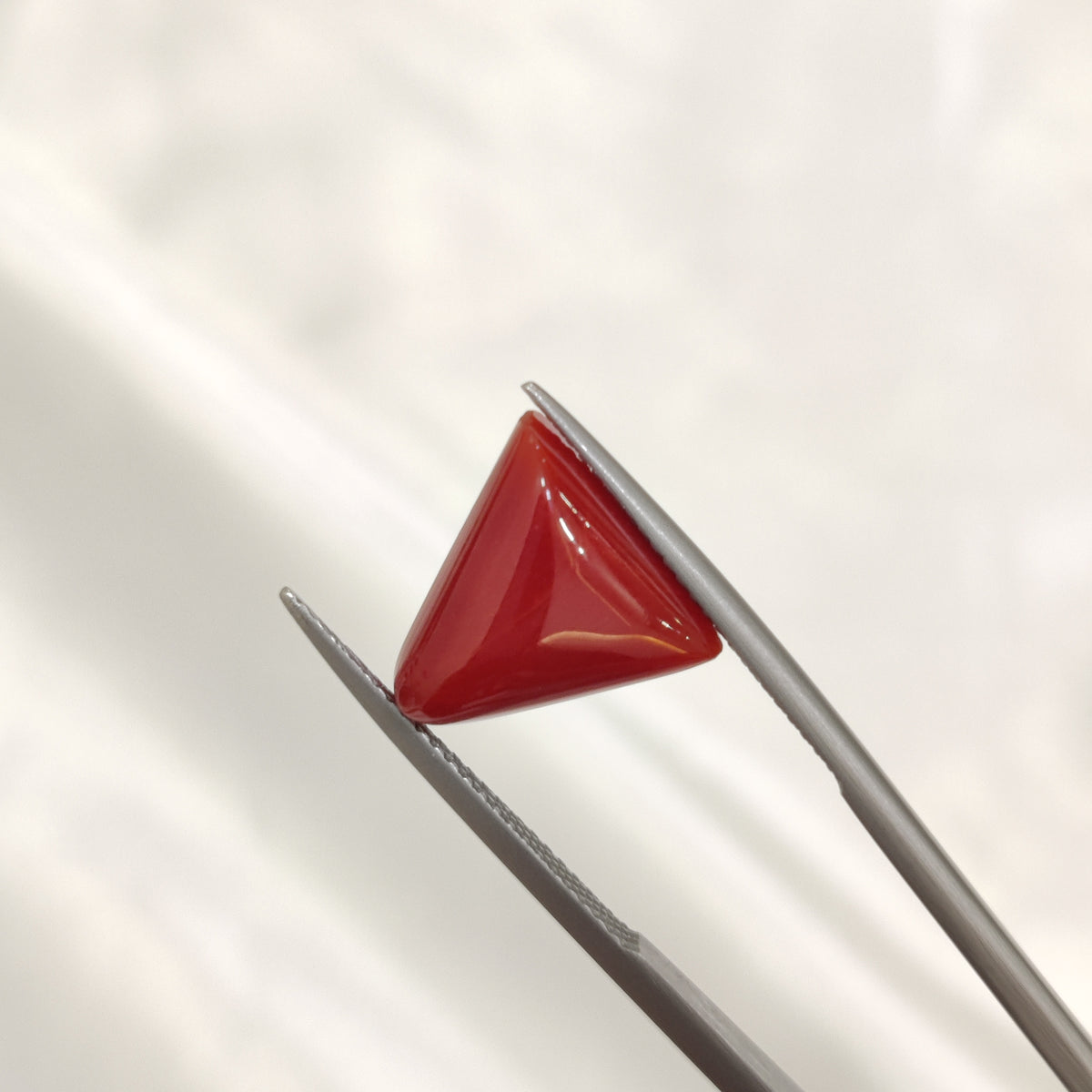 Natural Coral (Moonga) | Coral 146 | 6.64 Carat | Certified
