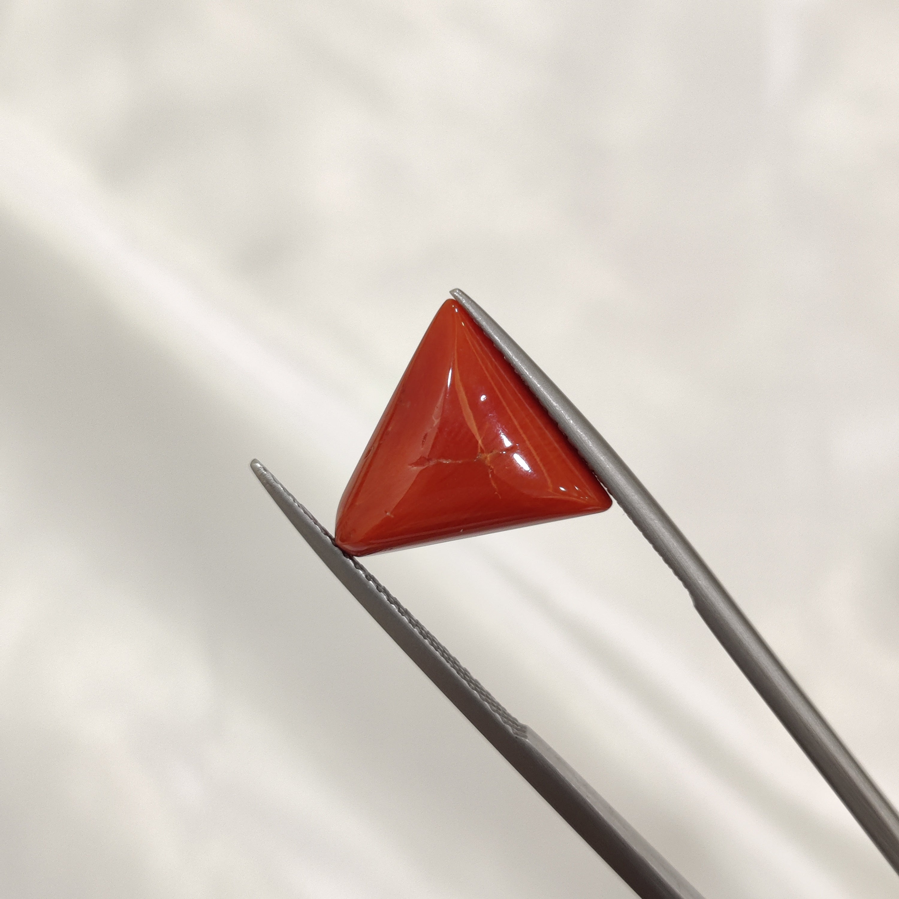 Coral | CORAL 137 | 7.28 Carat