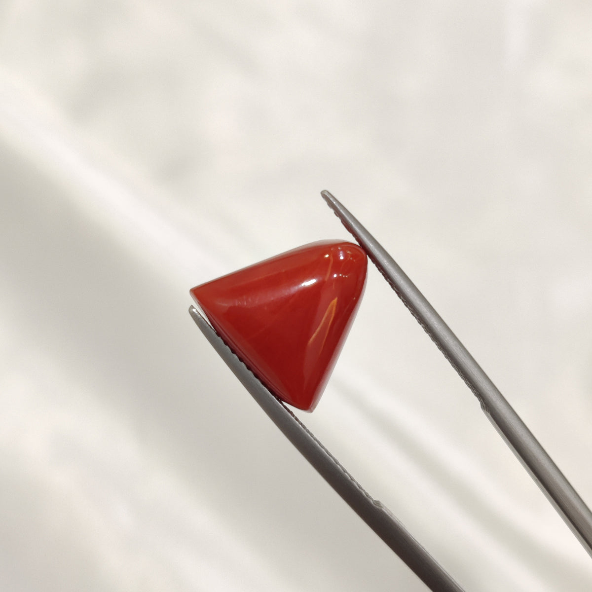 Natural Coral (Moonga) | Coral 135 | 8.06 Carat | Certified