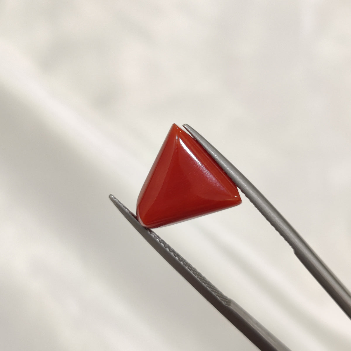 Natural Coral (Moonga) | Coral 135 | 8.06 Carat | Certified