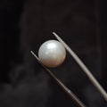 Pearl | Pearl 331 | 7.21 Carat