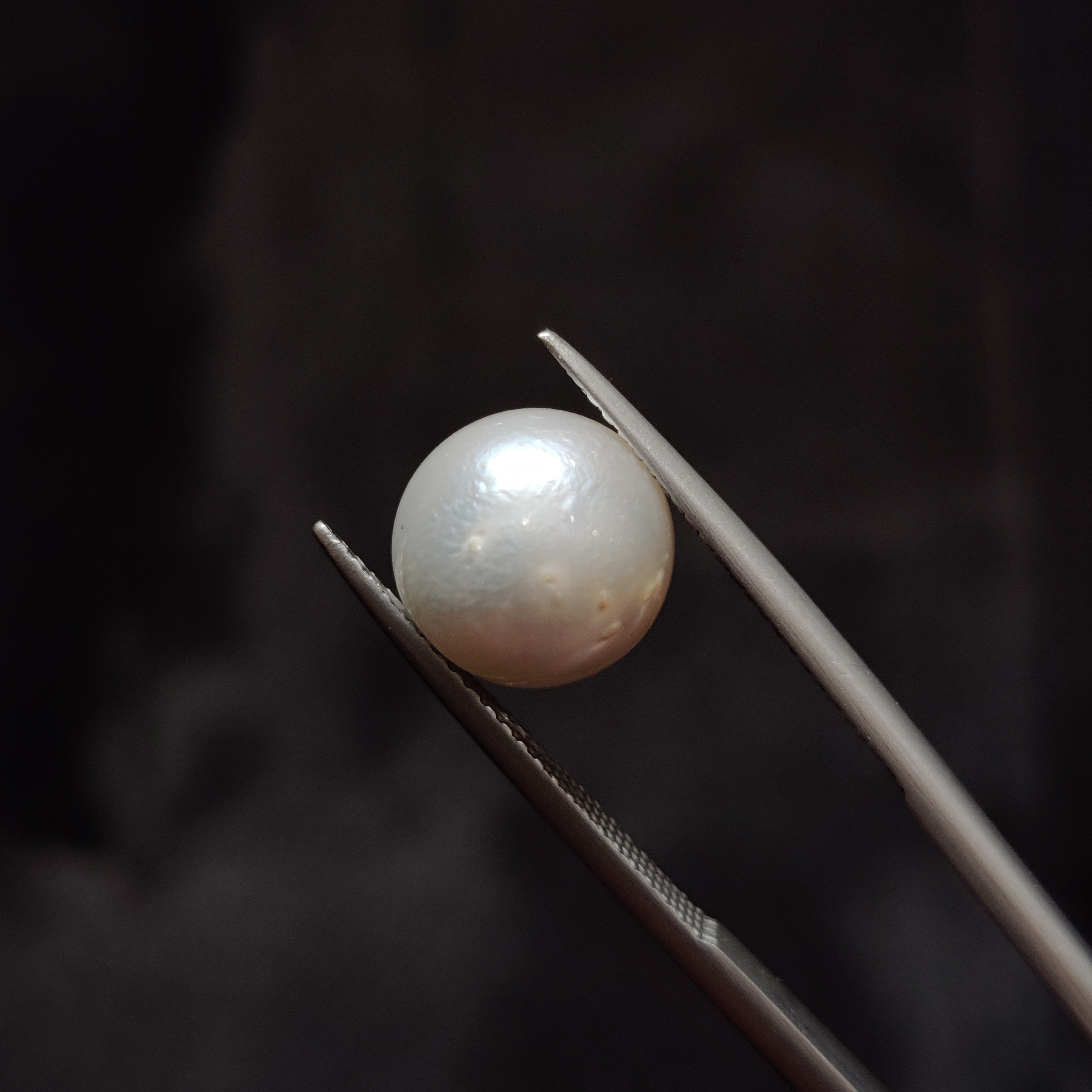 Pearl | Pearl 331 | 7.21 Carat