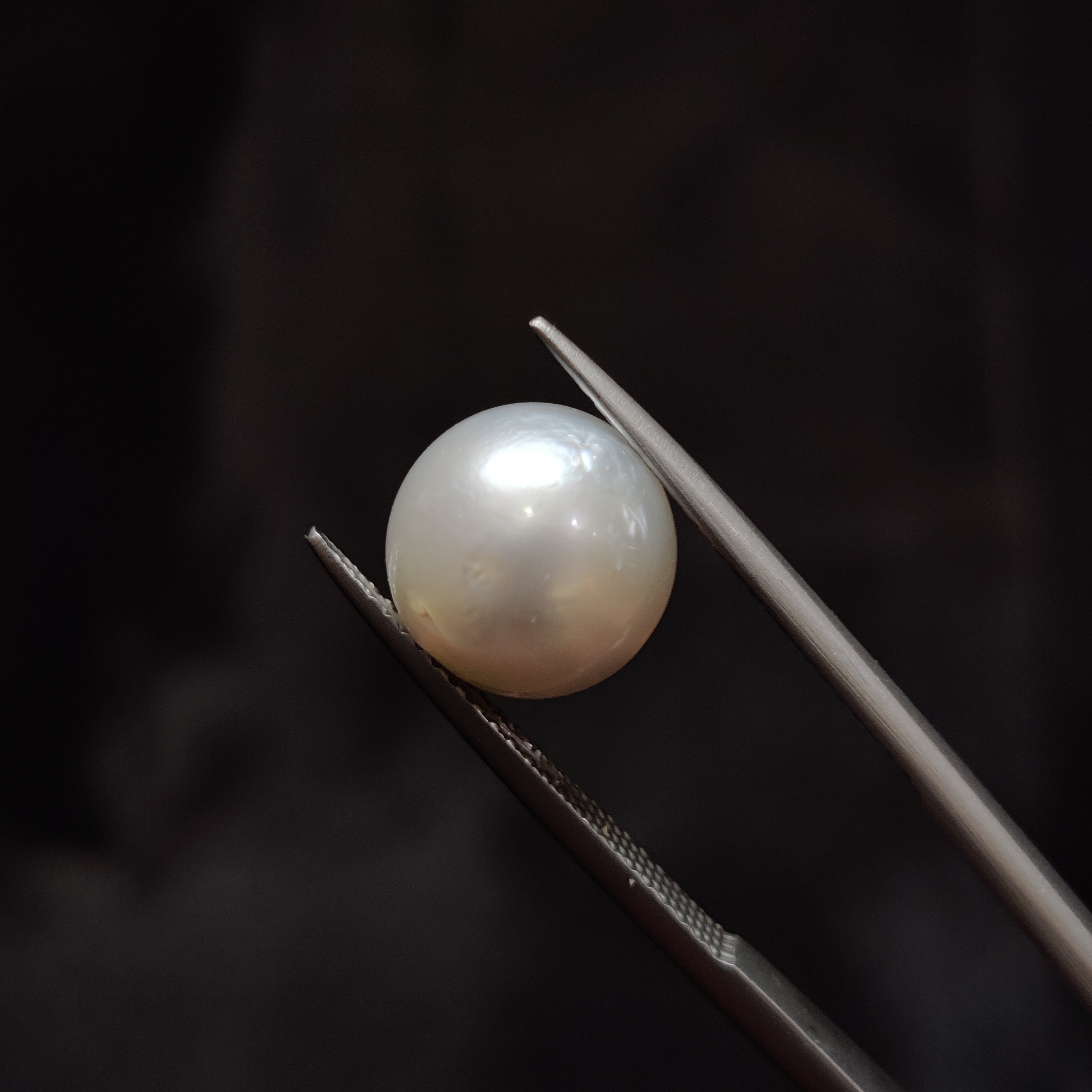 Pearl | Pearl 331 | 7.21 Carat