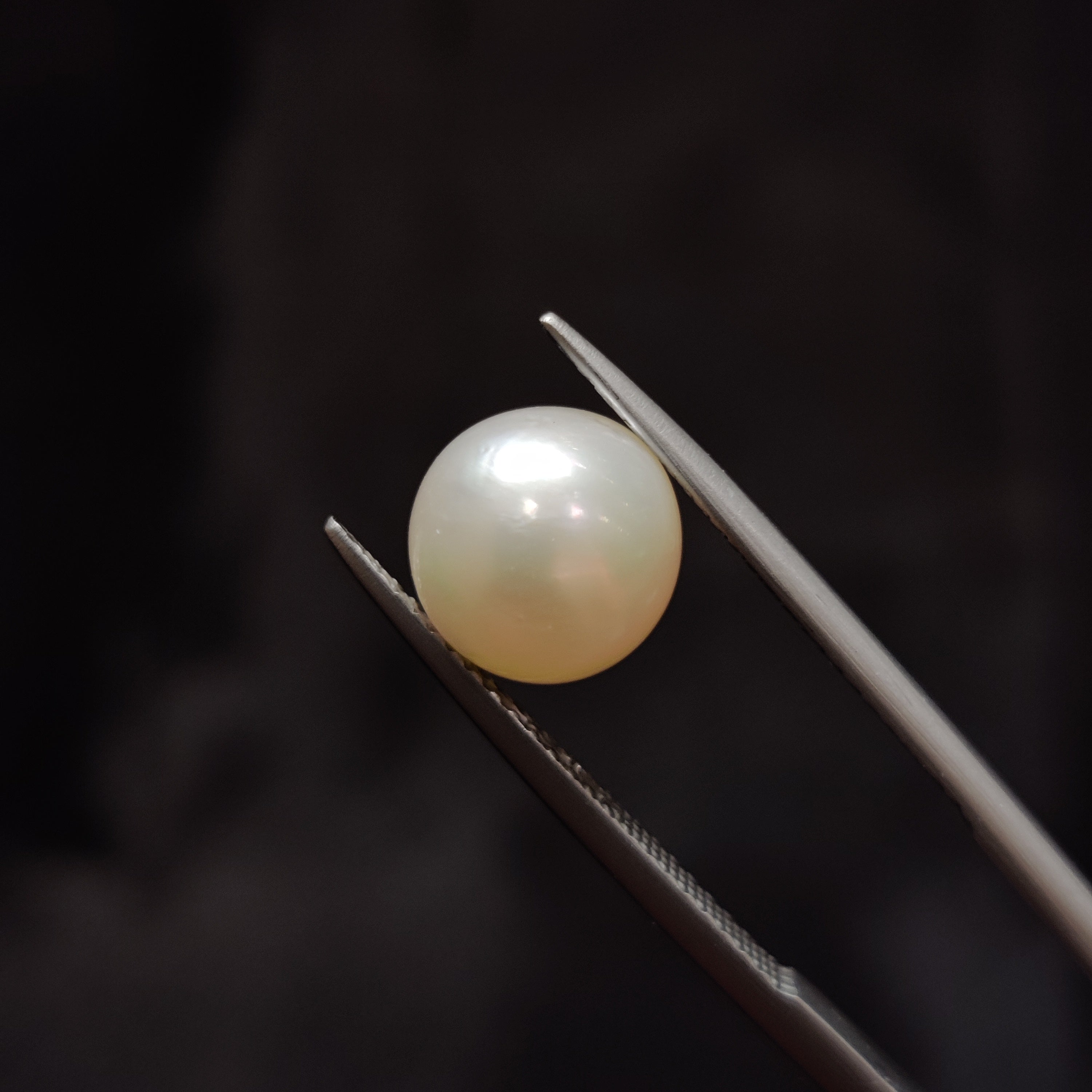 Pearl | Pearl 350 | 4.83 Carat