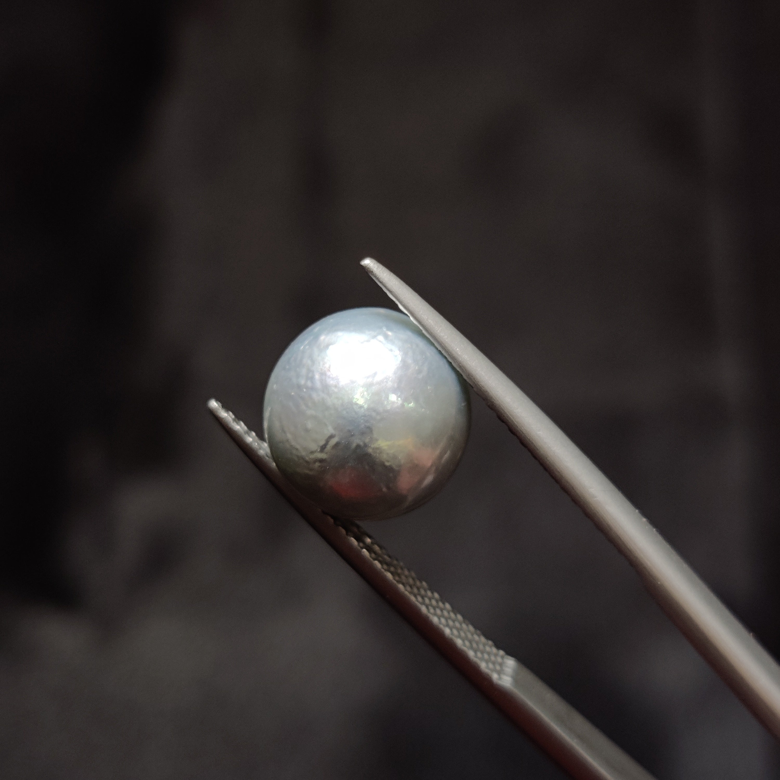 Pearl | Pearl 332 | 8.19 Carat