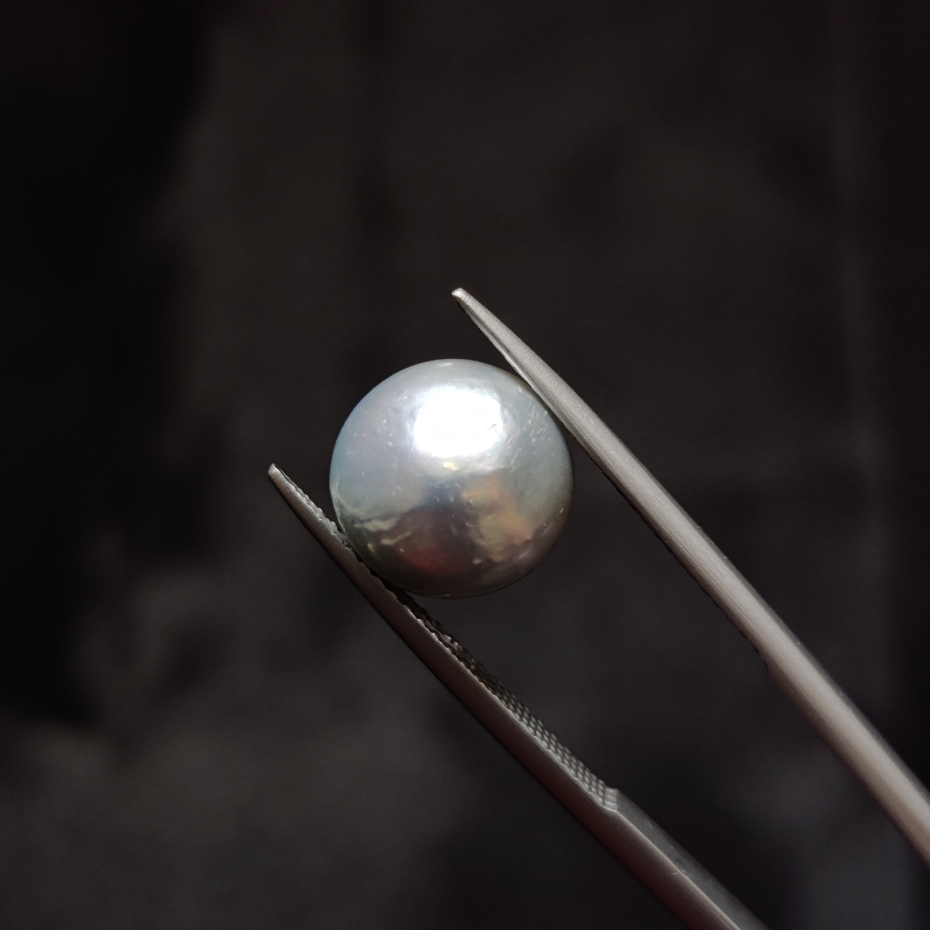 Pearl | Pearl 332 | 8.19 Carat