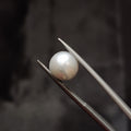 Pearl | Pearl 342 | 5.79 Carat