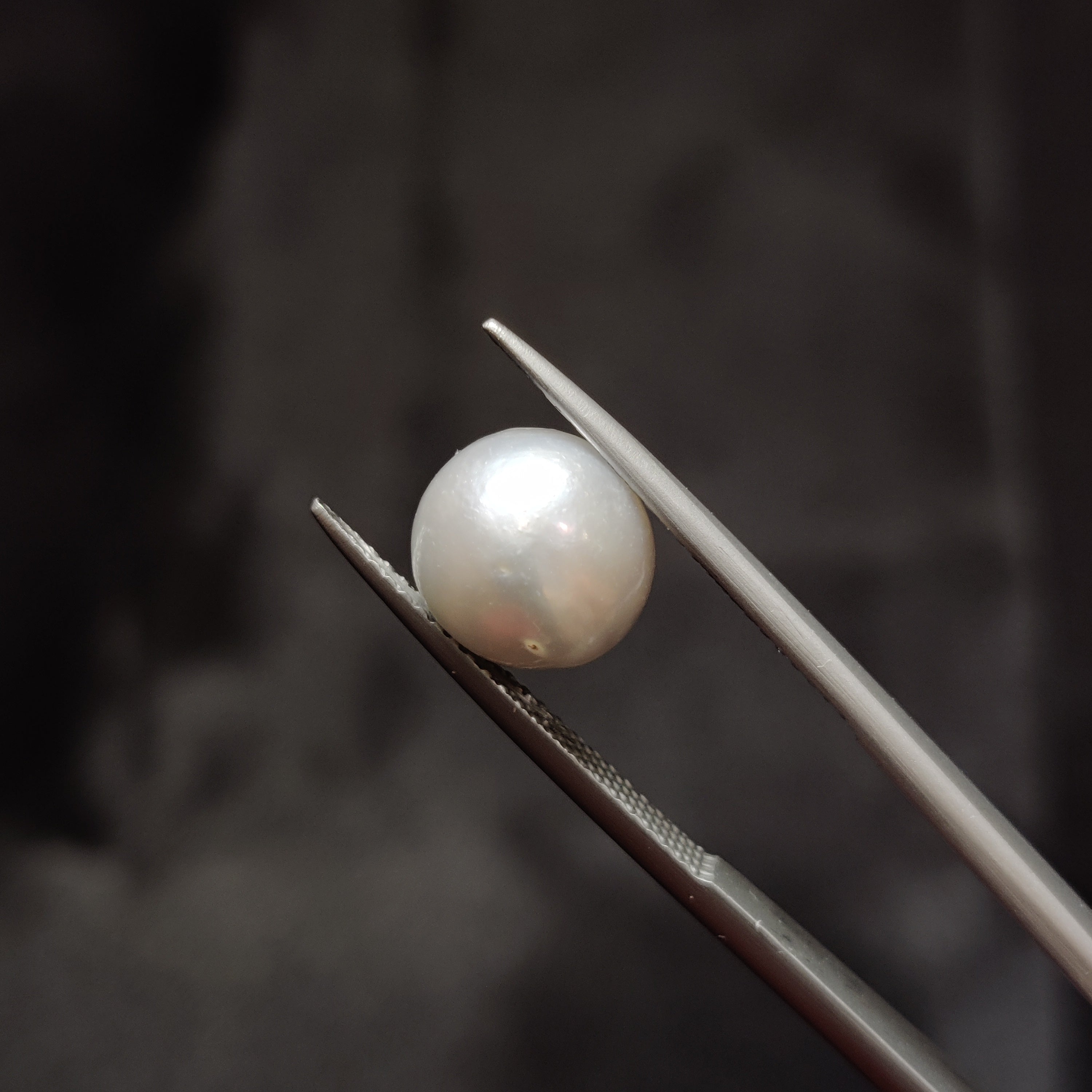 Pearl | Pearl 342 | 5.79 Carat