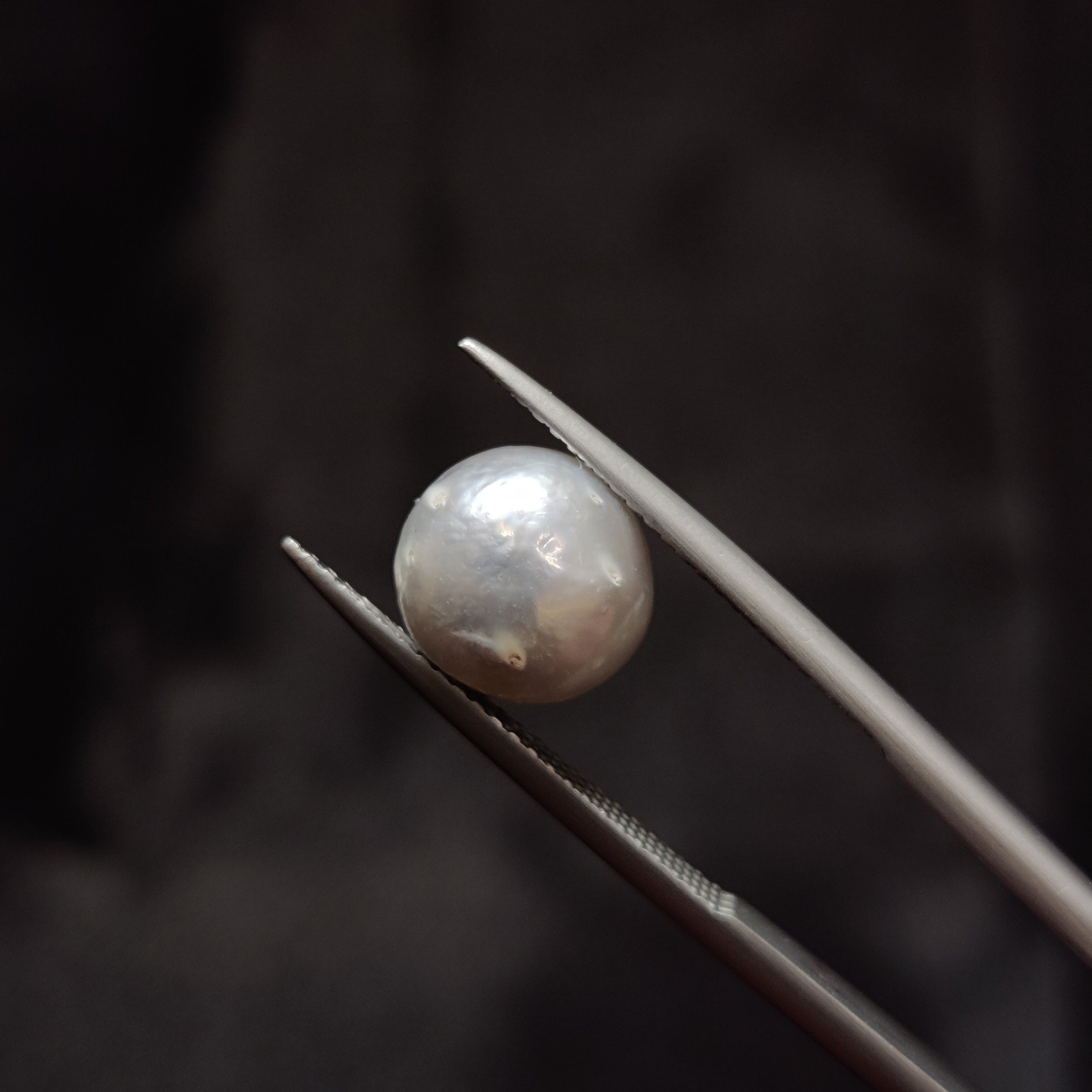 Pearl | Pearl 342 | 5.79 Carat