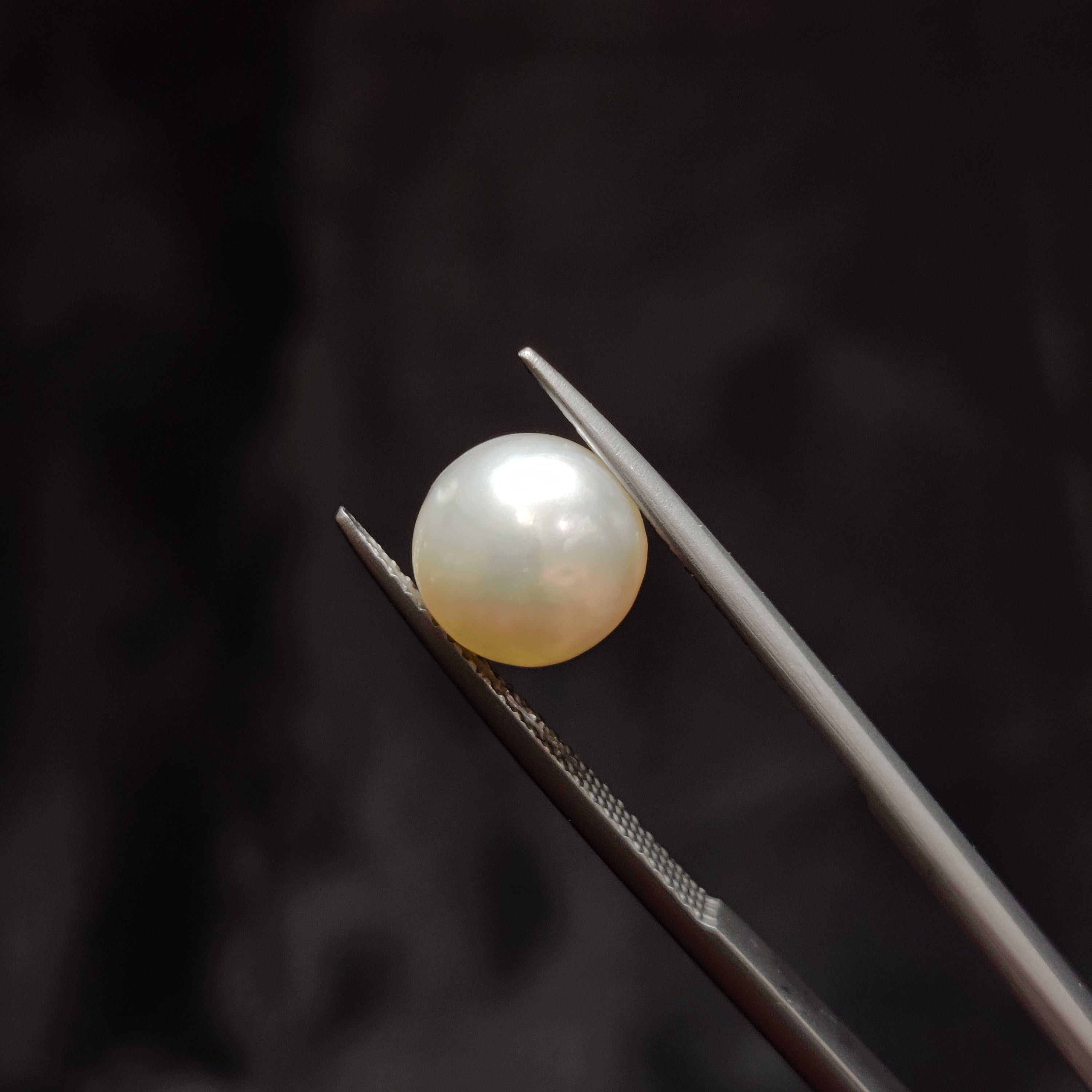 Pearl | Pearl 347 | 4.95 Carat