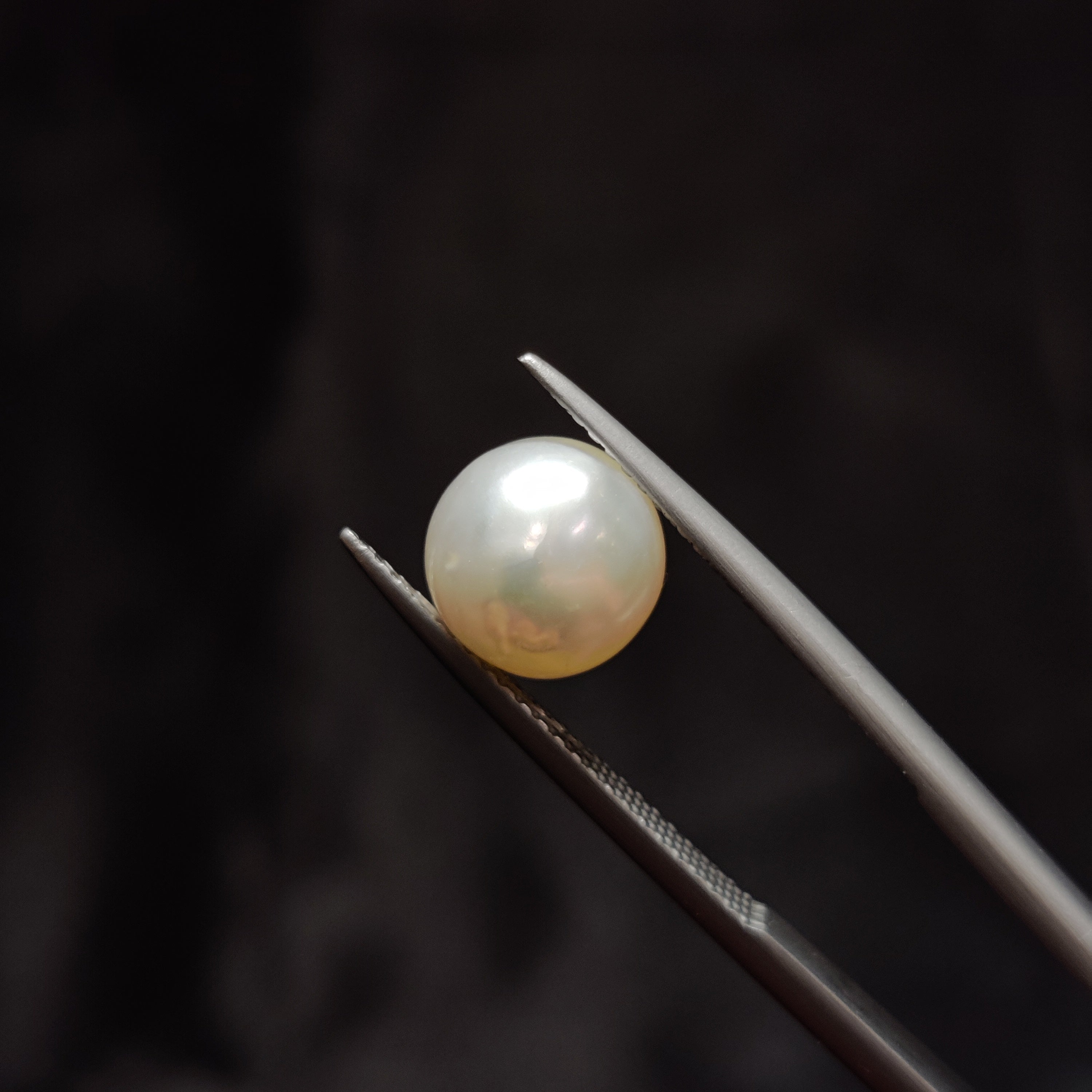 Pearl | Pearl 347 | 4.95 Carat