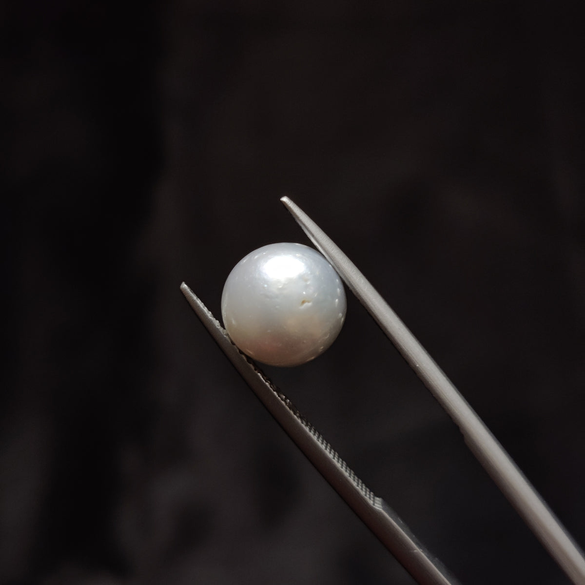 Natural Pearl (Moti) | Pearl 336 | 4.86 Carat | Certified