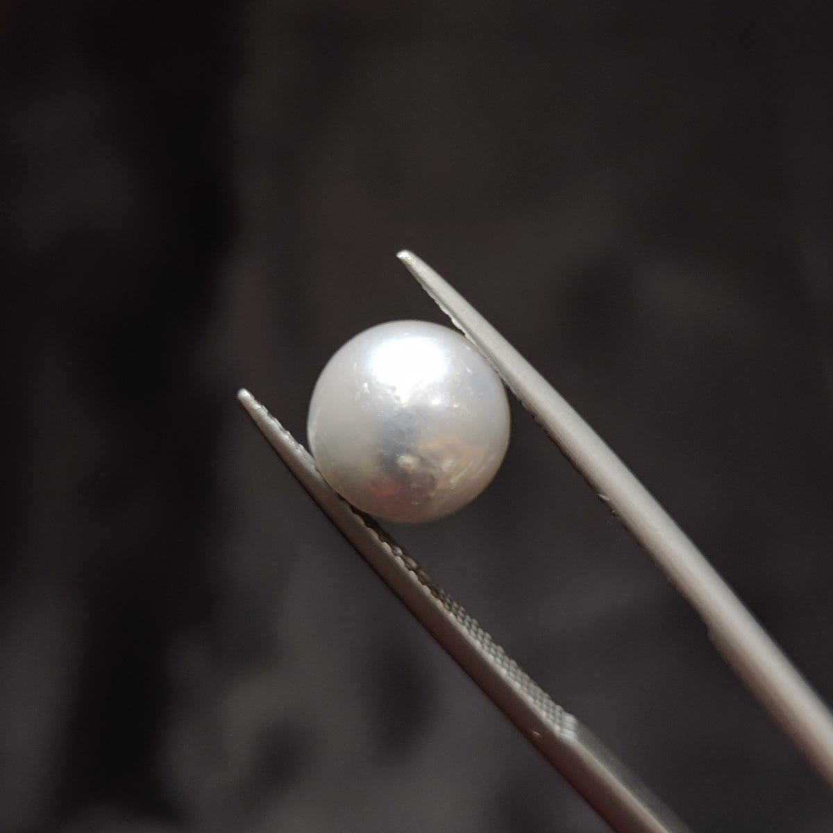 Natural Pearl (Moti) | Pearl 336 | 4.86 Carat | Certified