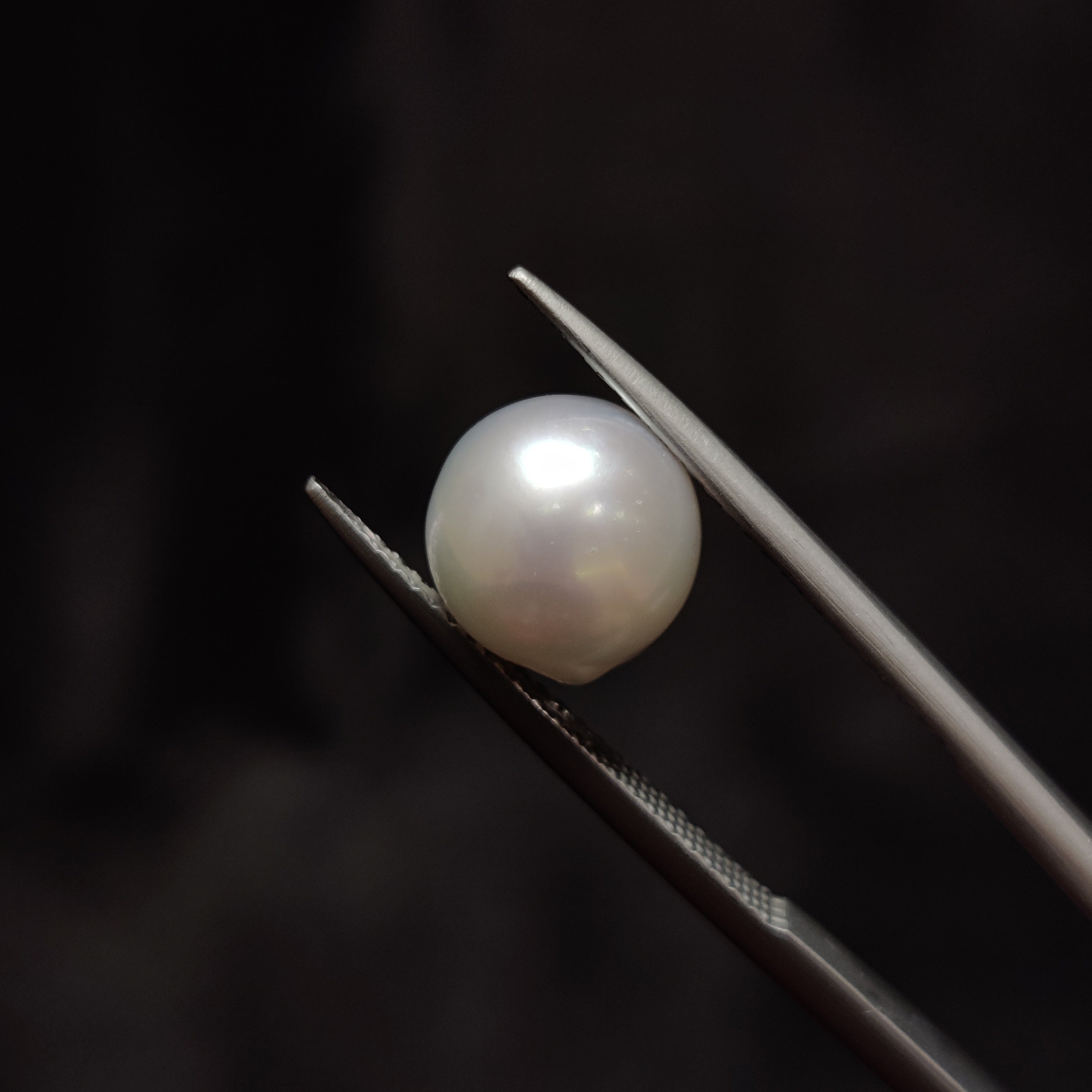 Pearl | Pearl 355 | 5.07 Carat