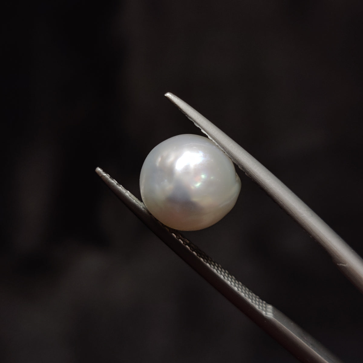 Natural Pearl (Moti) | Pearl 355 | 5.07 Carat | Certified