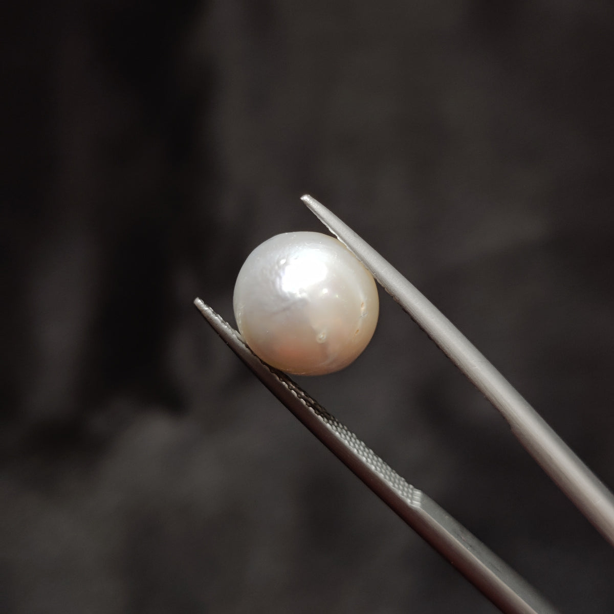 Natural Pearl (Moti) | Pearl 353 | 6.36 Carat | Certified