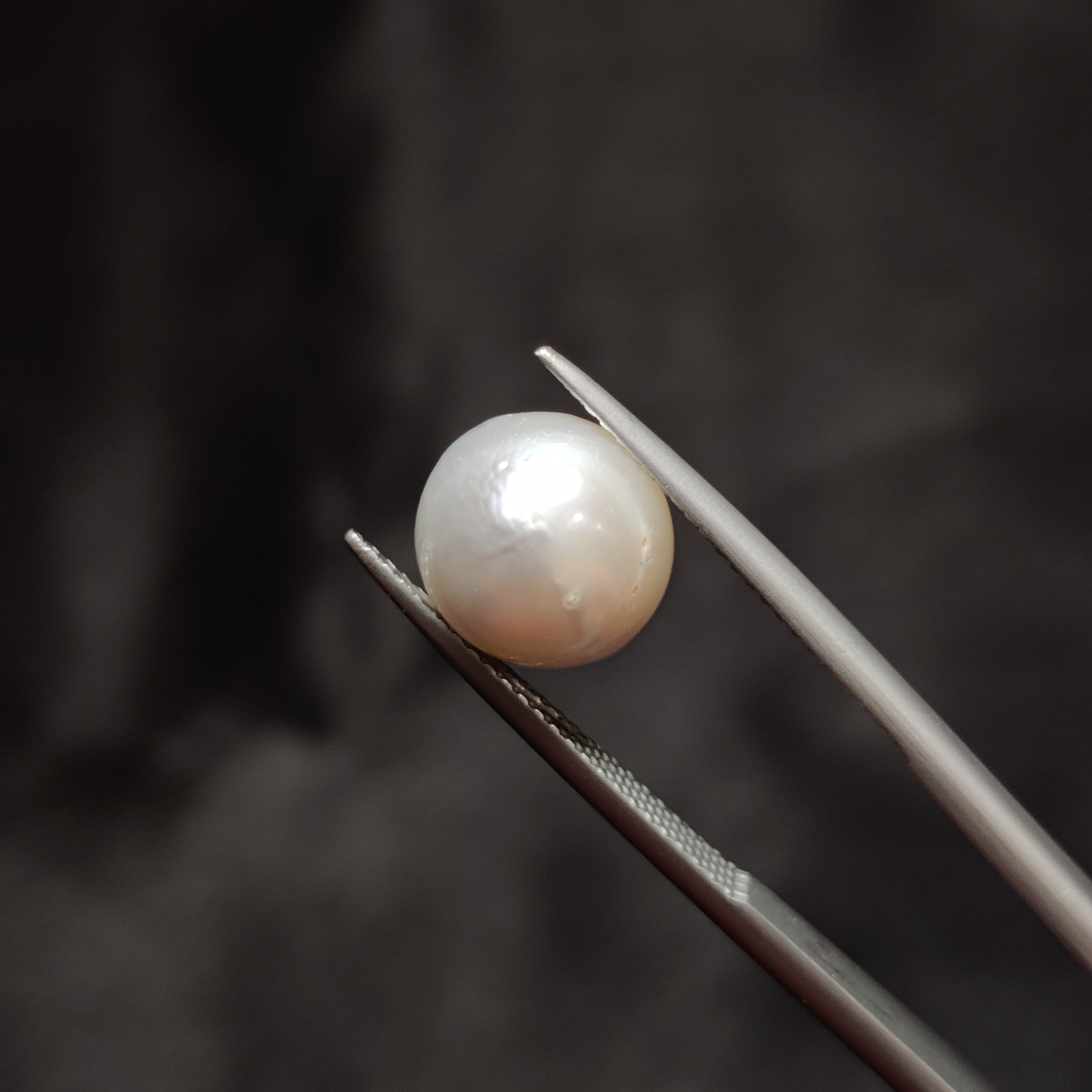 Pearl | Pearl 353 | 6.36 Carat