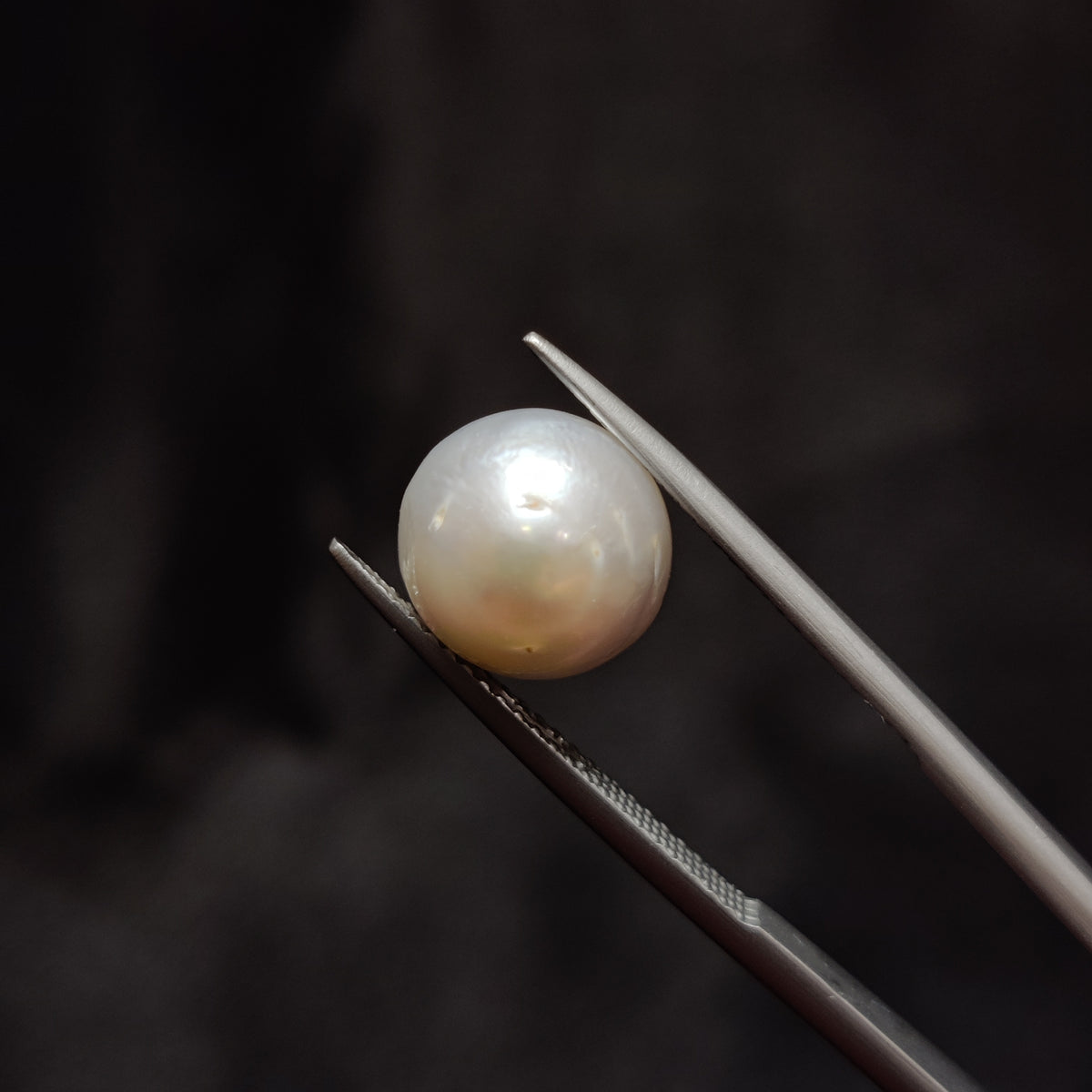 Natural Pearl (Moti) | Pearl 353 | 6.36 Carat | Certified