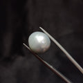 Pearl | Pearl 344 | 11.67 Carat