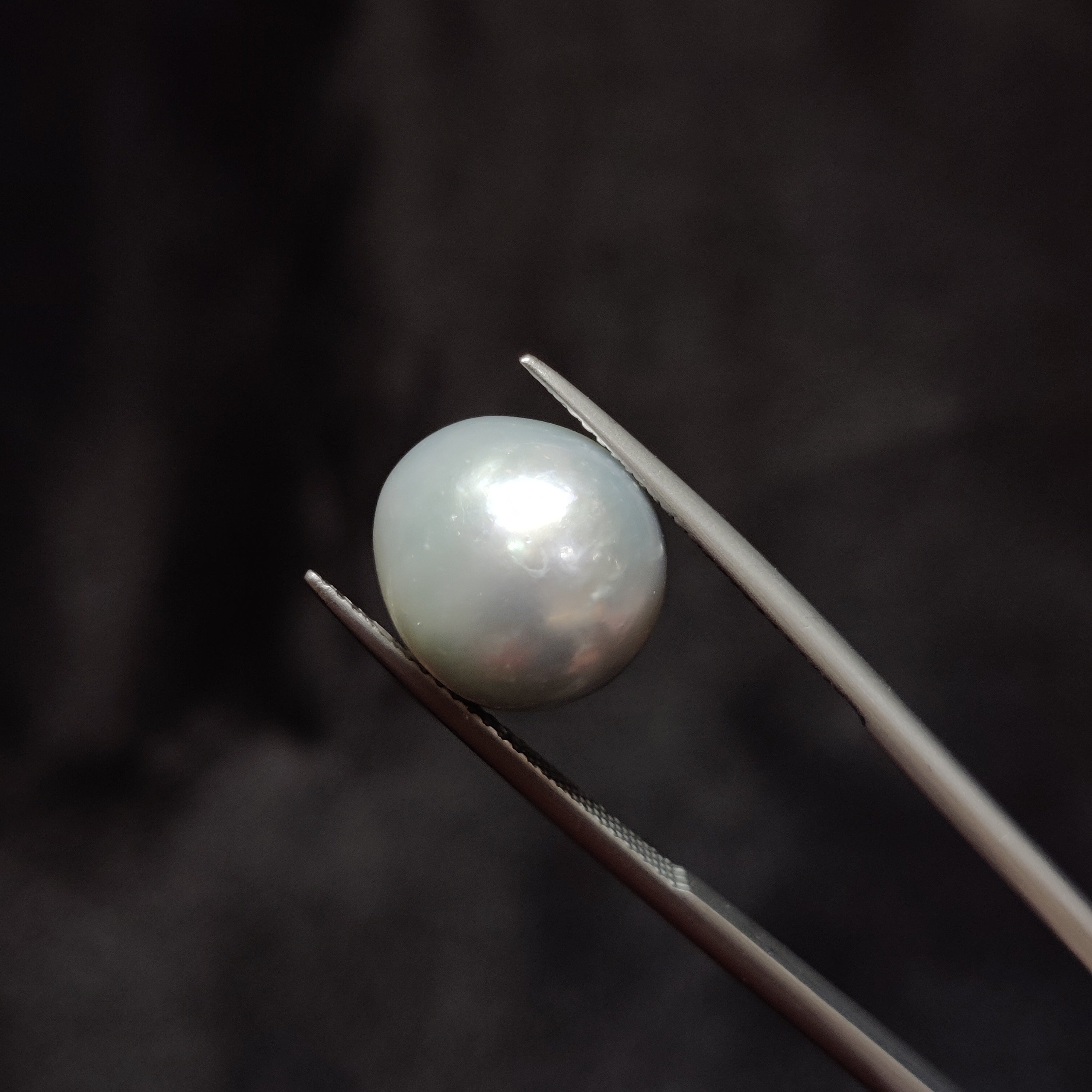 Pearl | Pearl 344 | 11.67 Carat