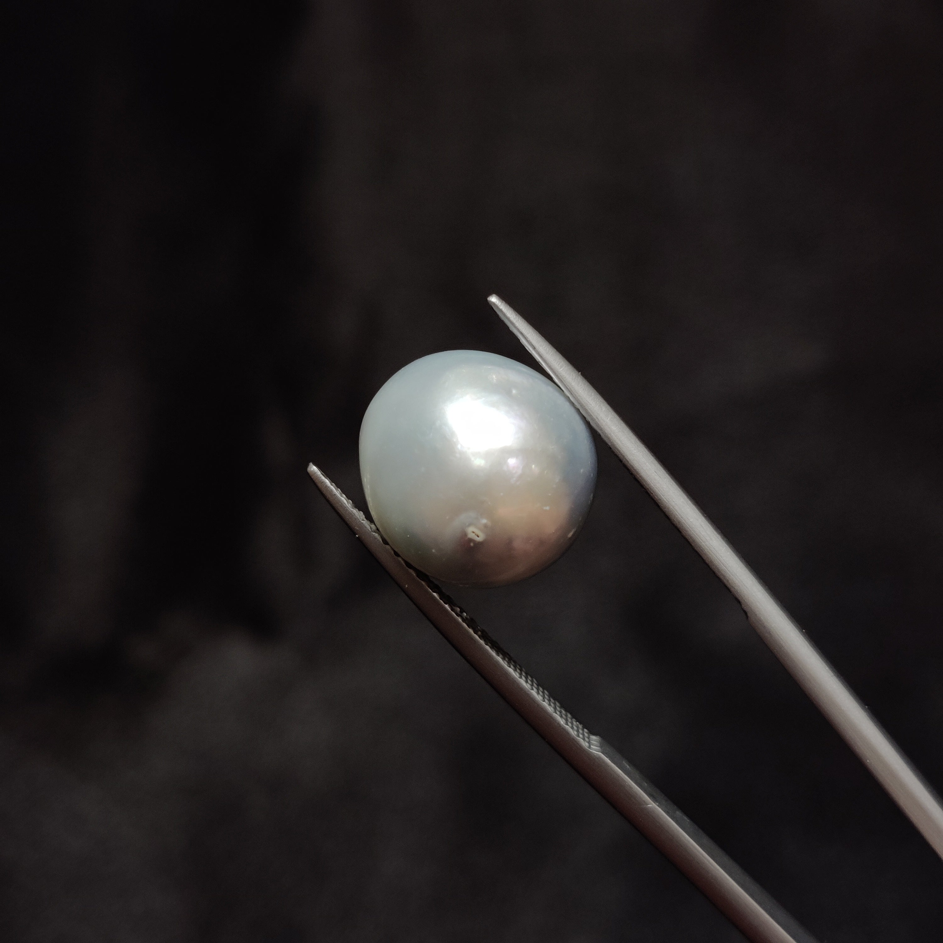 Pearl | Pearl 344 | 11.67 Carat