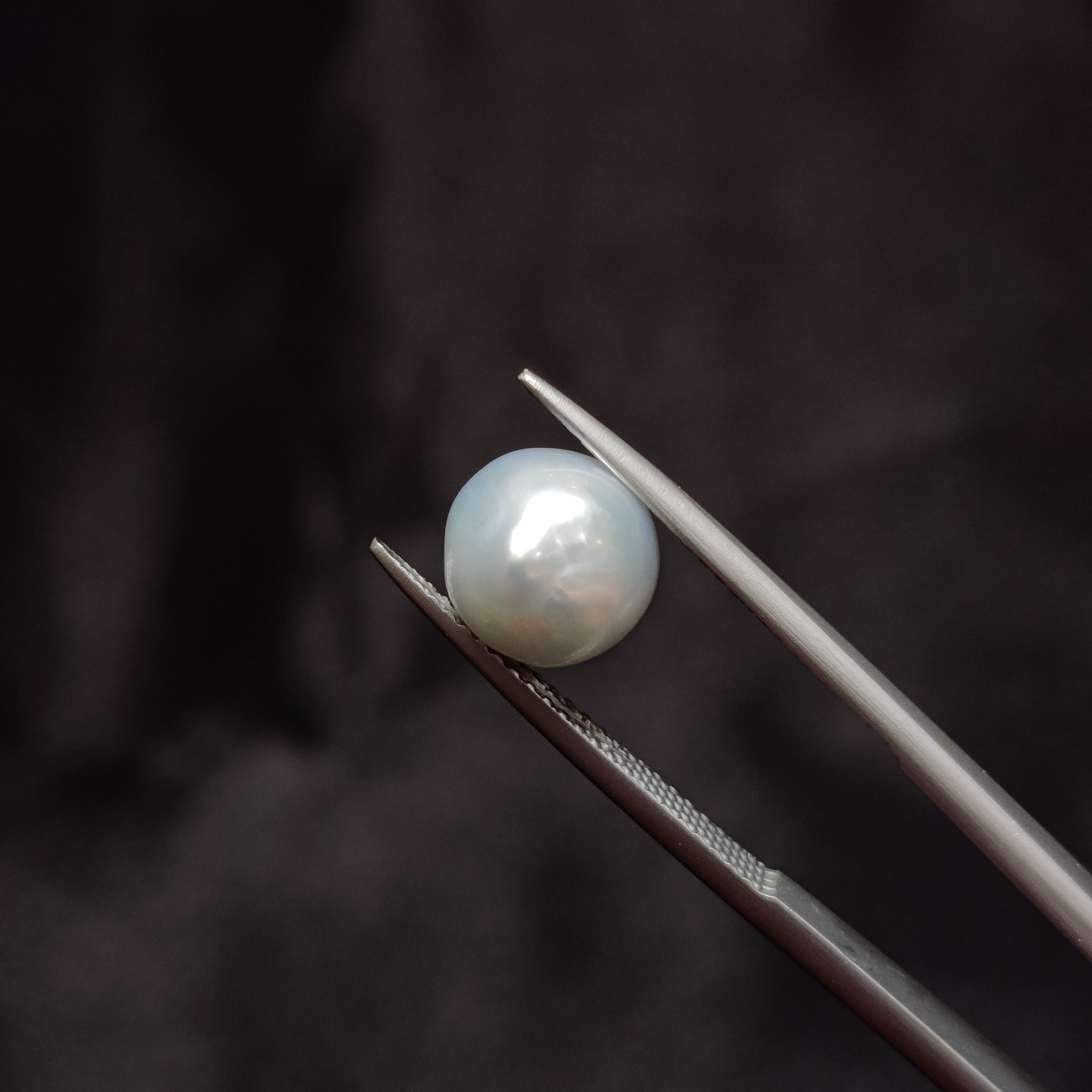 Pearl | Pearl 334 | 4.38 Carat