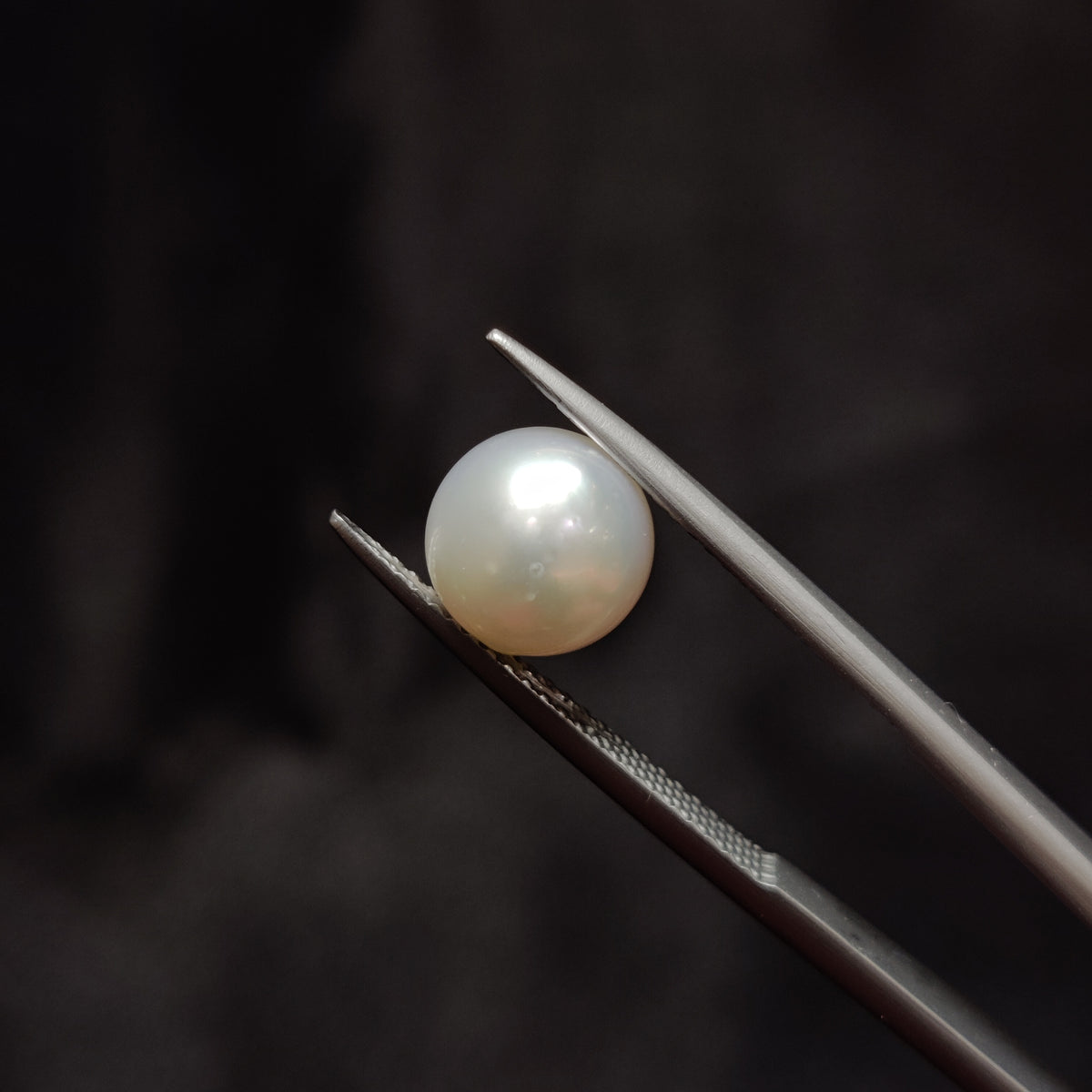 Natural Pearl (Moti) | Pearl 357 | 4.18 Carat | Certified