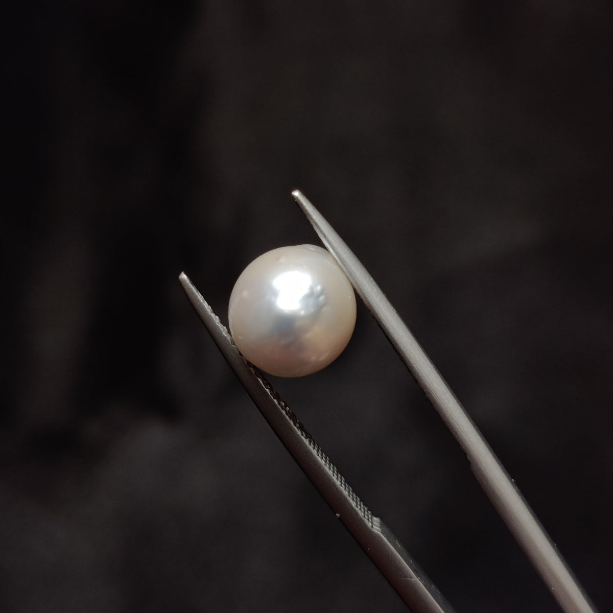 Natural Pearl (Moti) | Pearl 339 | 4.25 Carat | Certified