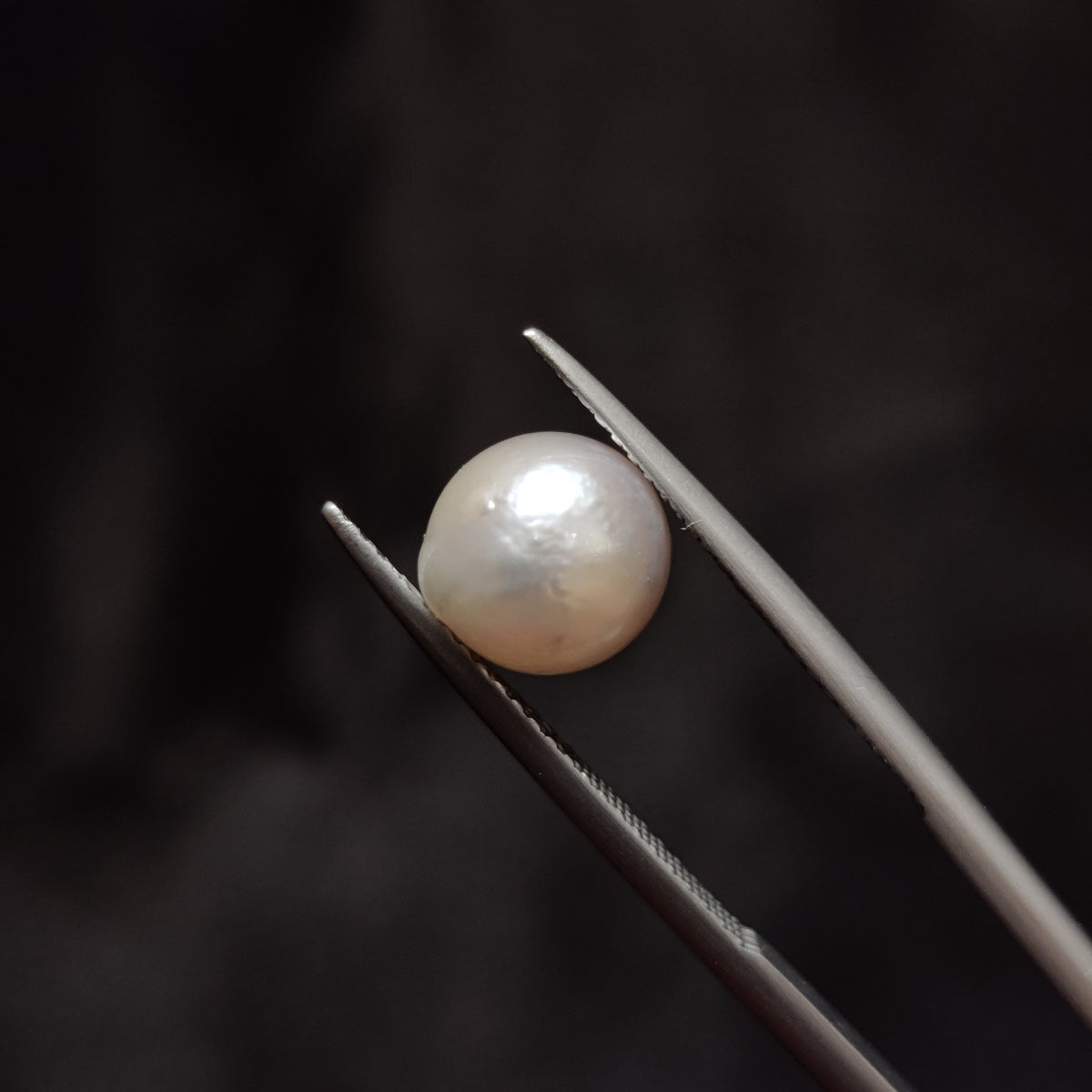 Natural Pearl (Moti) | Pearl 339 | 4.25 Carat | Certified