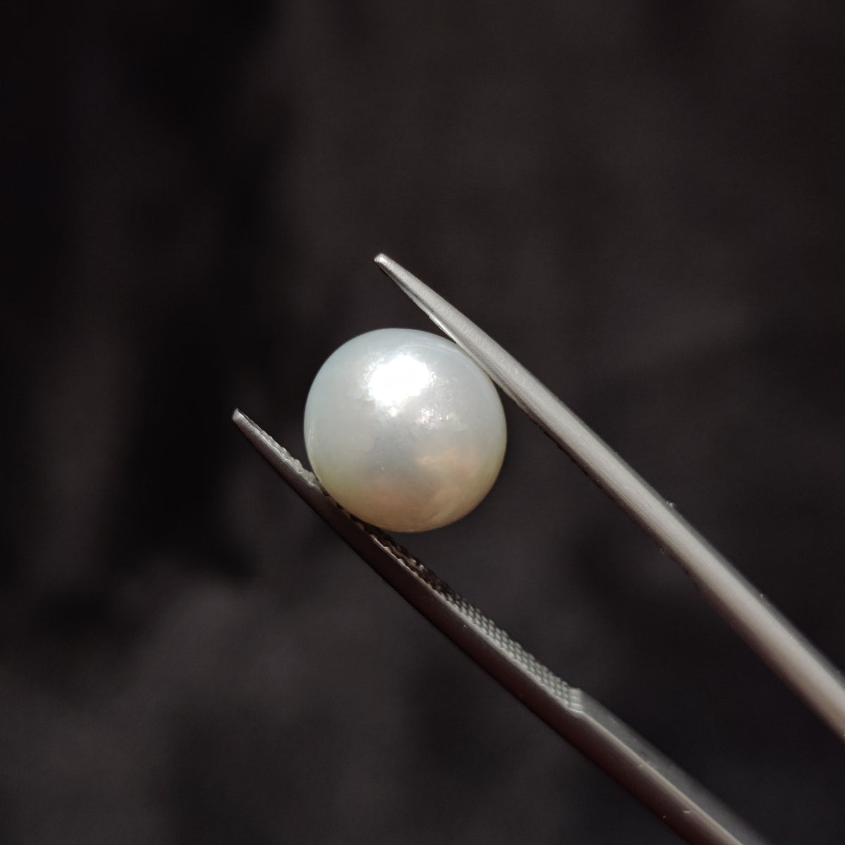 Natural Pearl (Moti) | Pearl 340 | 5.64 Carat | Certified