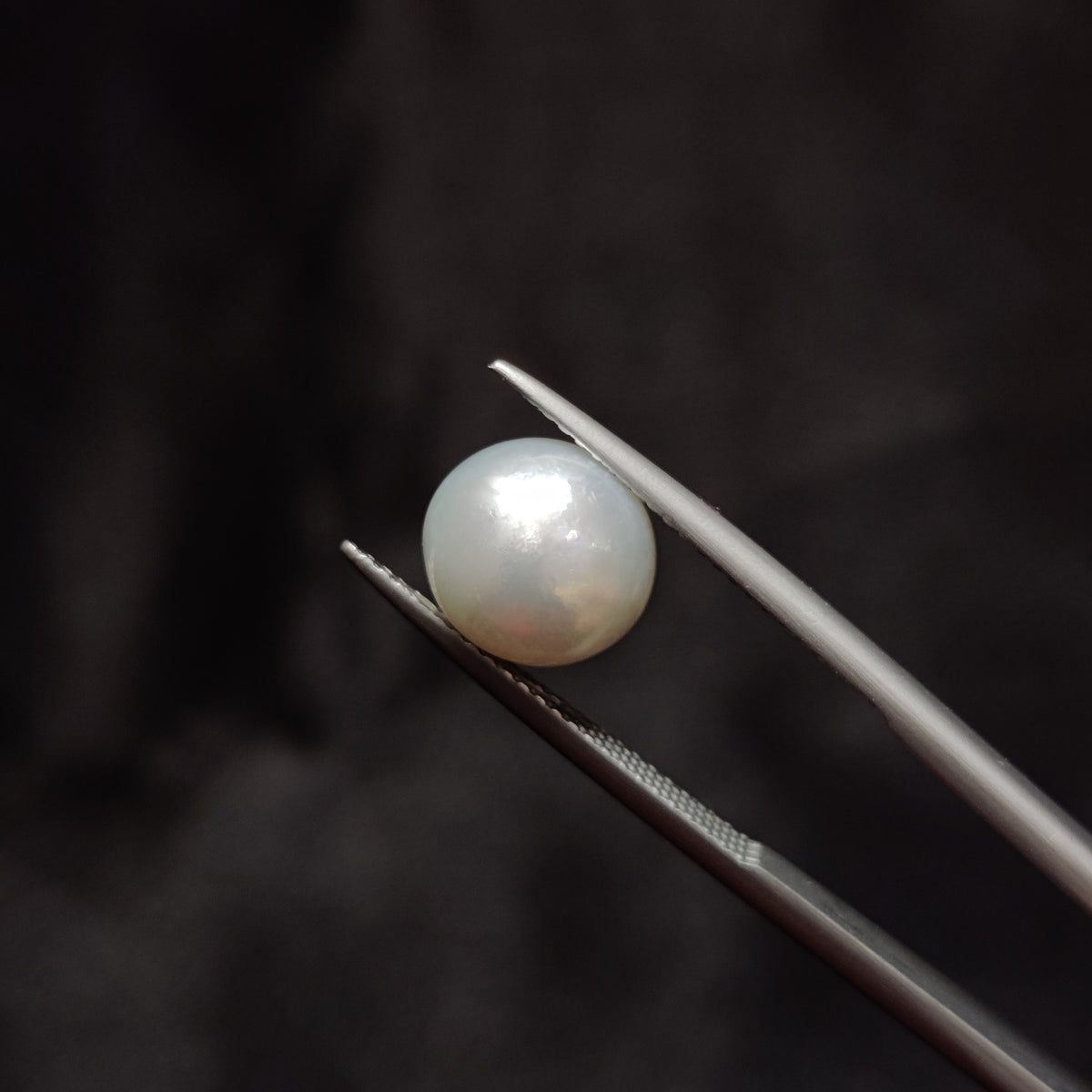 Natural Pearl (Moti) | Pearl 340 | 5.64 Carat | Certified