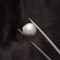 Pearl | Pearl 307 | 7.15 Carat