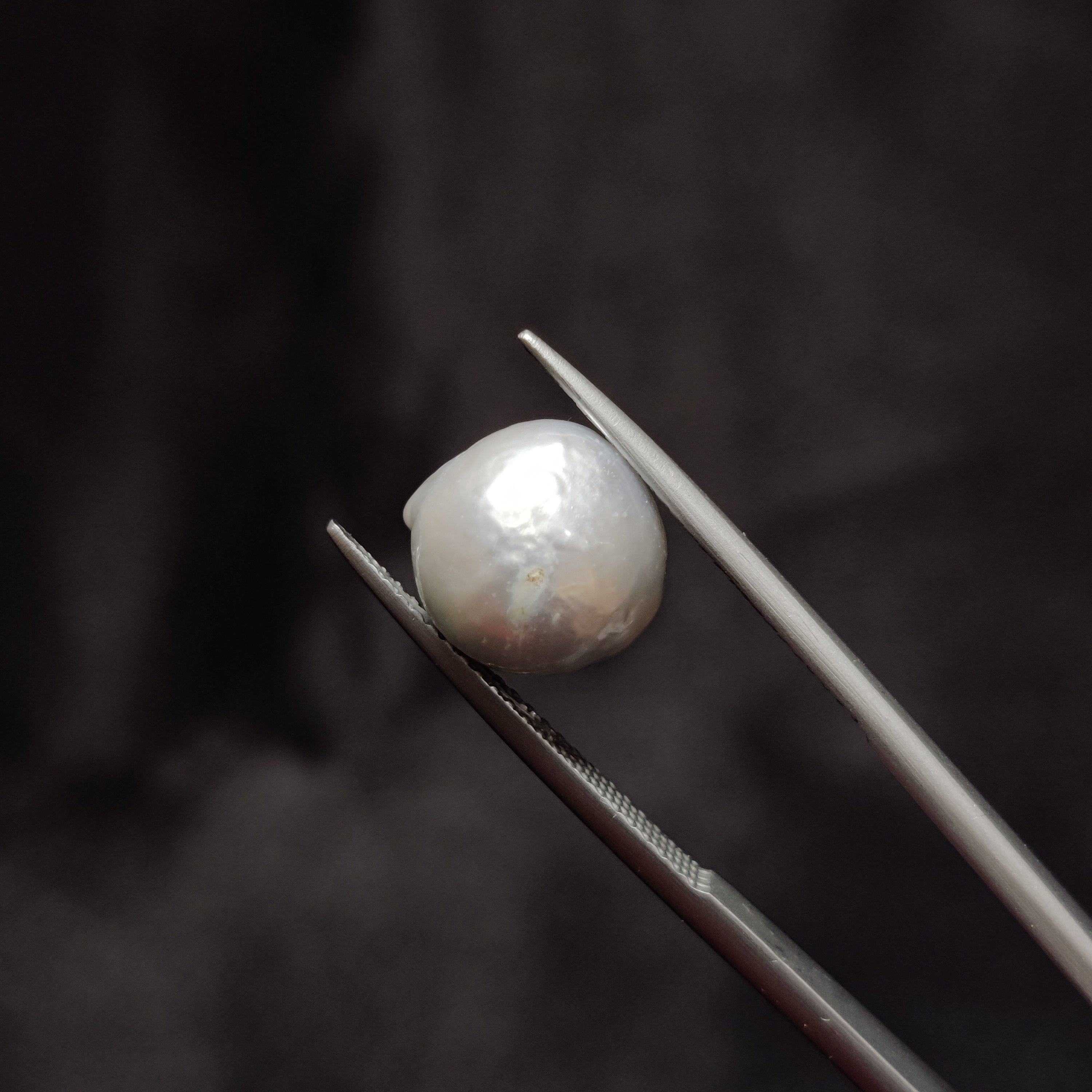 Pearl | Pearl 307 | 7.15 Carat