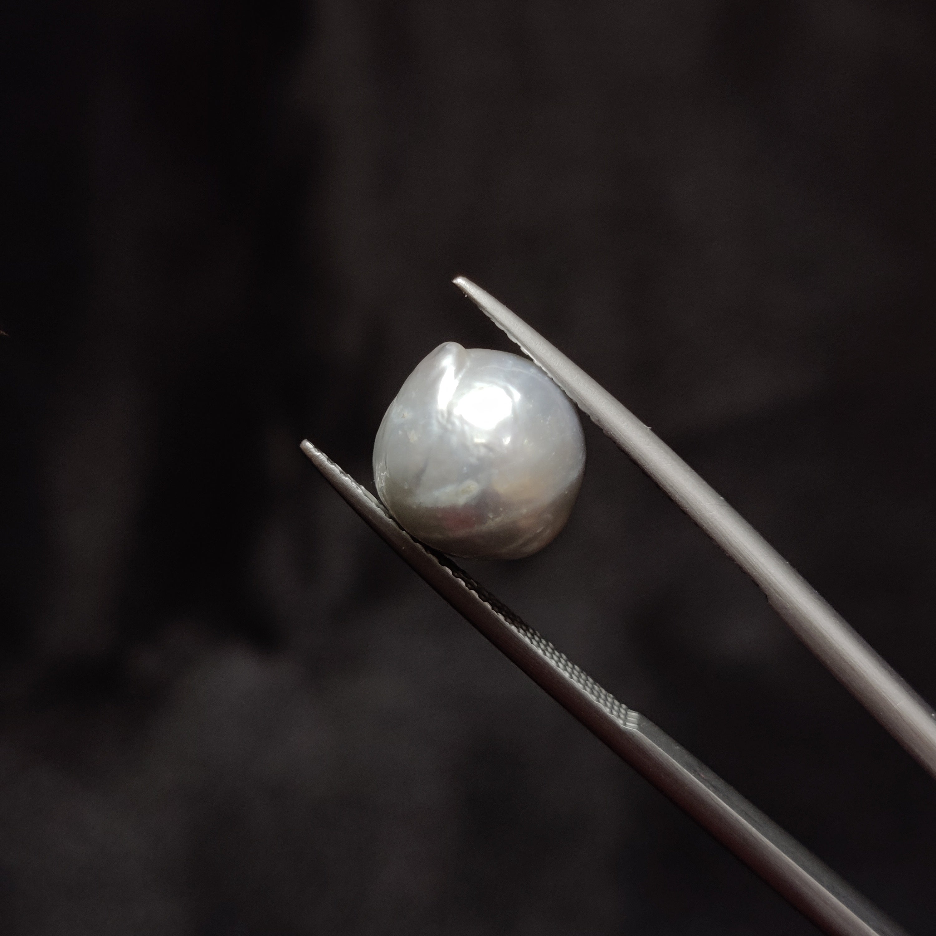 Pearl | Pearl 307 | 7.15 Carat
